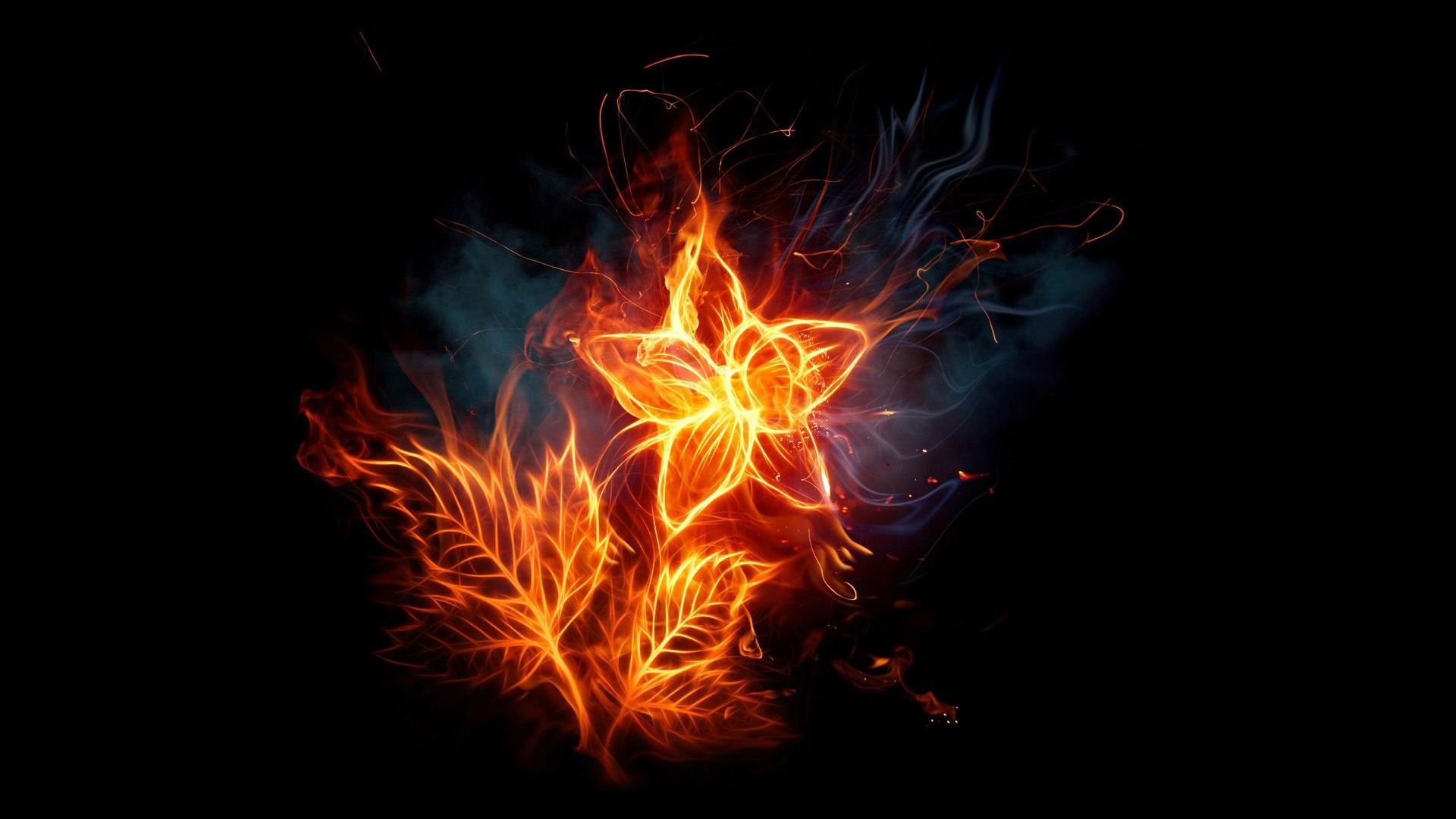 1920x1080 Fire Flower The Fire Of Artistic Creativity Design Wallpaper