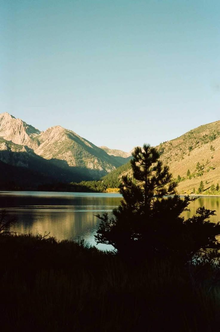 736x1110 Early Sierra Morningmm Film Photo Print. Kodak Film. Nature Wall Art