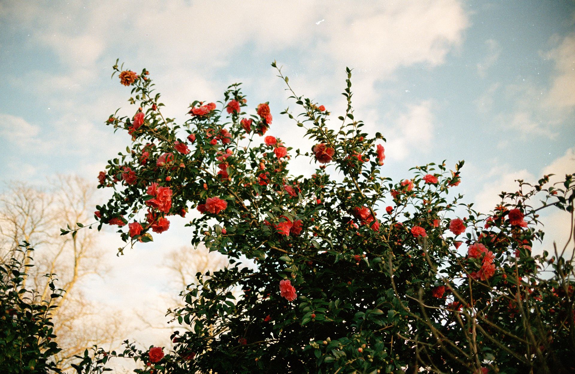 1920x1249 Photos By Jordan Young