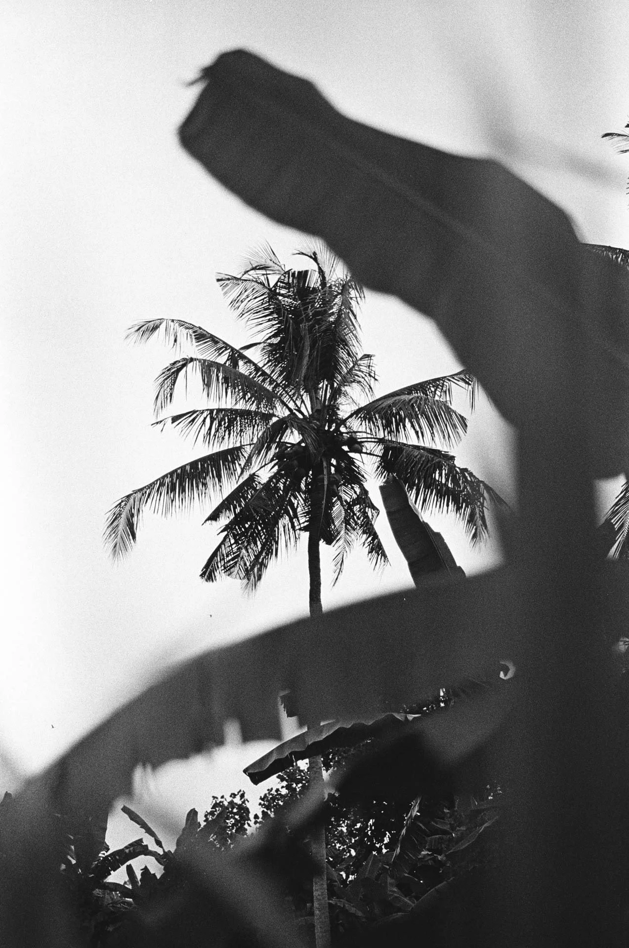 1273x1920 Gallery 2