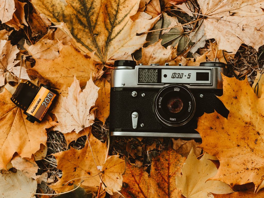 1024x768 Download wallpaper 1024x768 camera, autumn, foliage, retro, vintage, photographic film standard 4:3 HD background