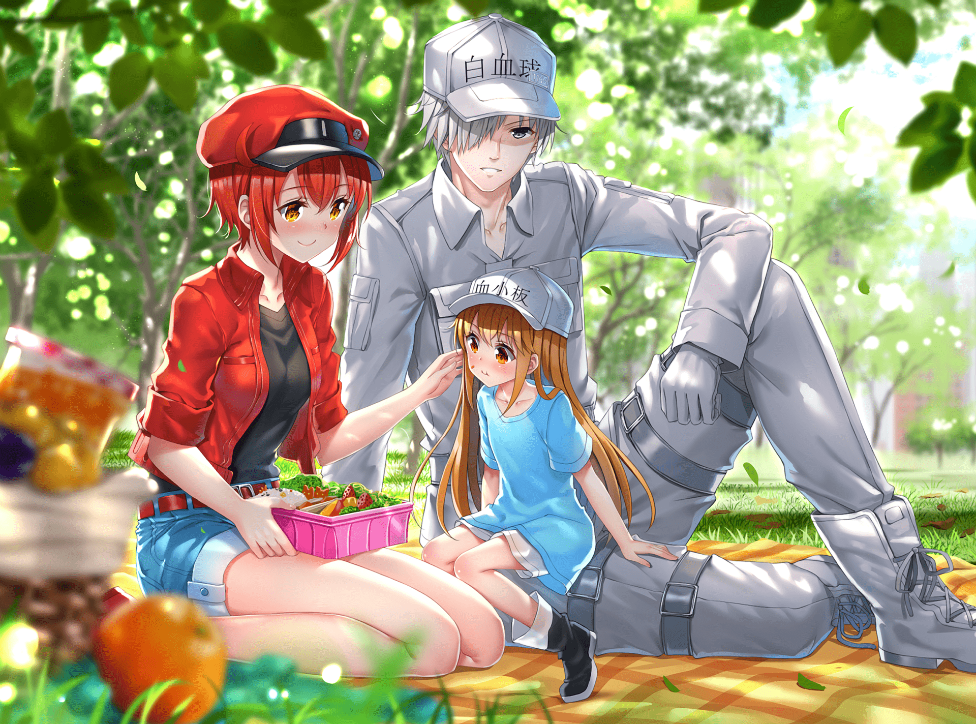 1920x1424 Cells at Work Characters Anime Picnic Wallpaper
