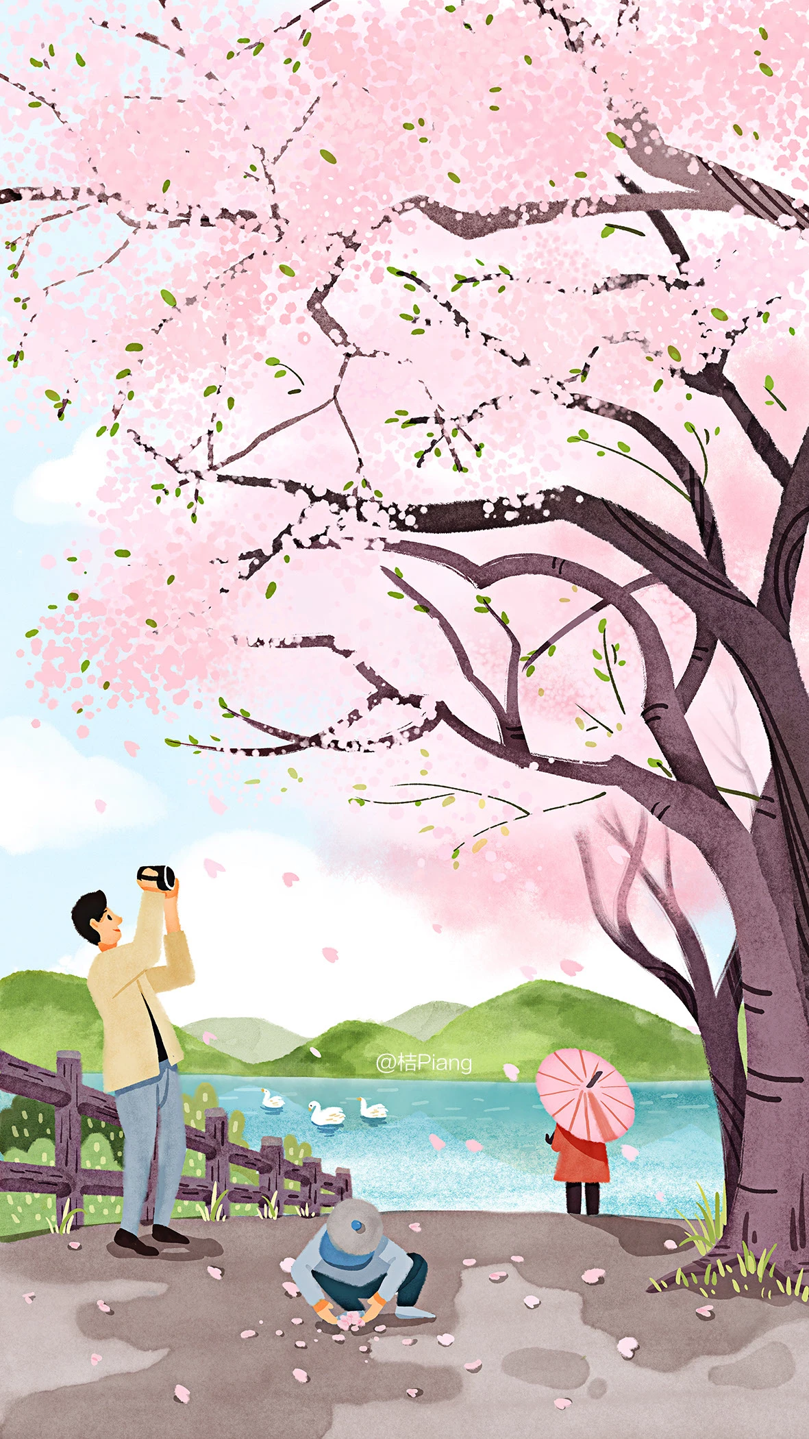 1181x2100 cherry blossom phone wallpaper - Behance