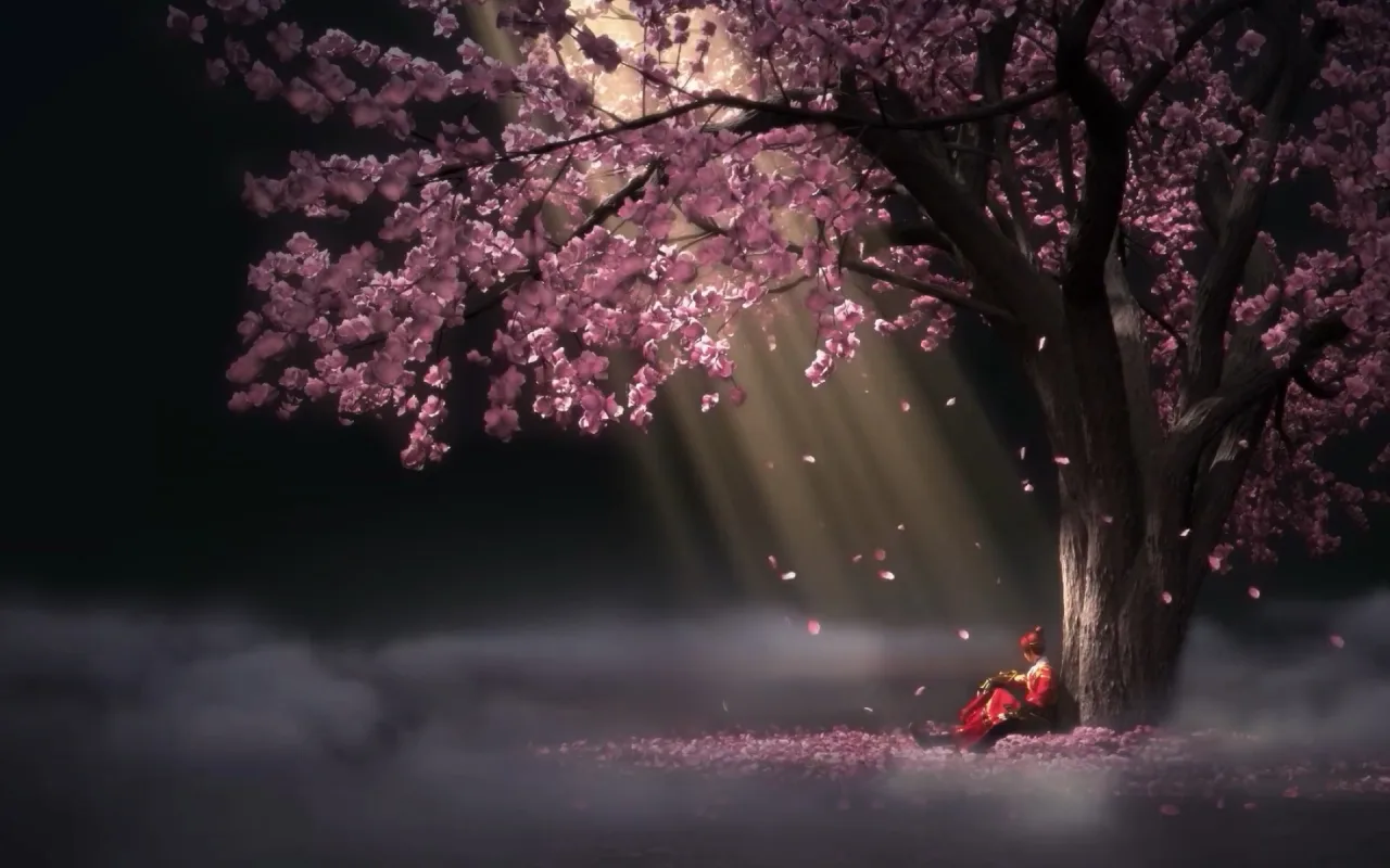 1280x800 Sakura live wallpaper preview