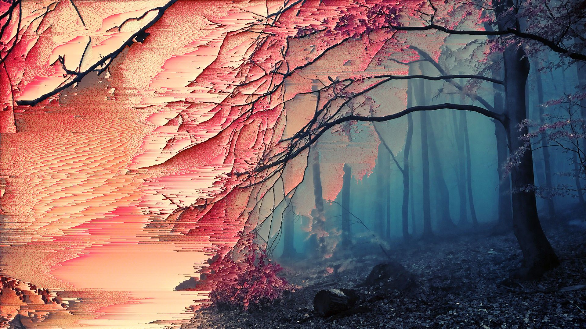 1920x1080 glitch art, Sakura (tree), Forest, Trees Wallpaper HD / Desktop and Mobile Background