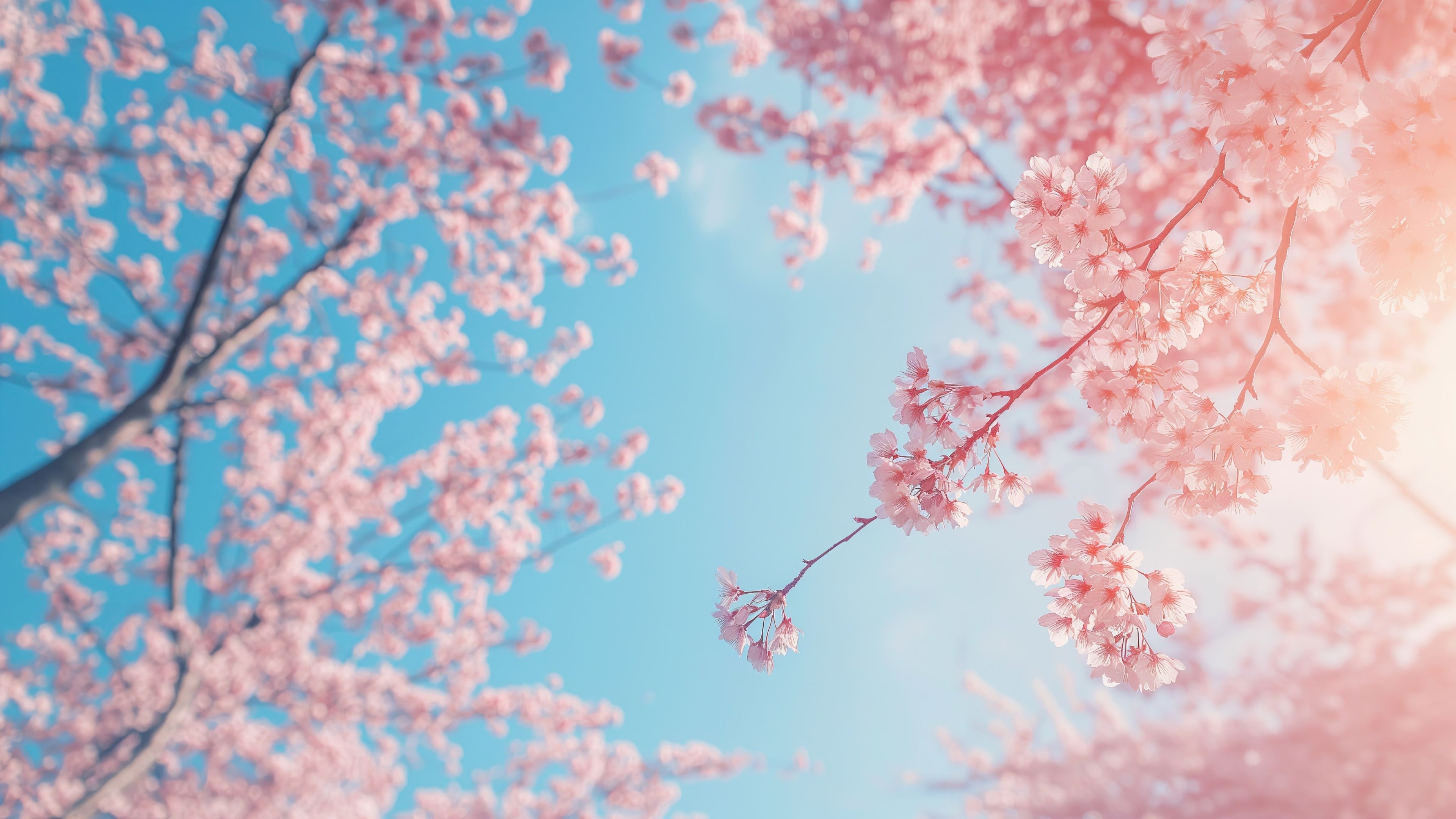 3840x2160 Trees Wallpaper 4K, Vibrant colors