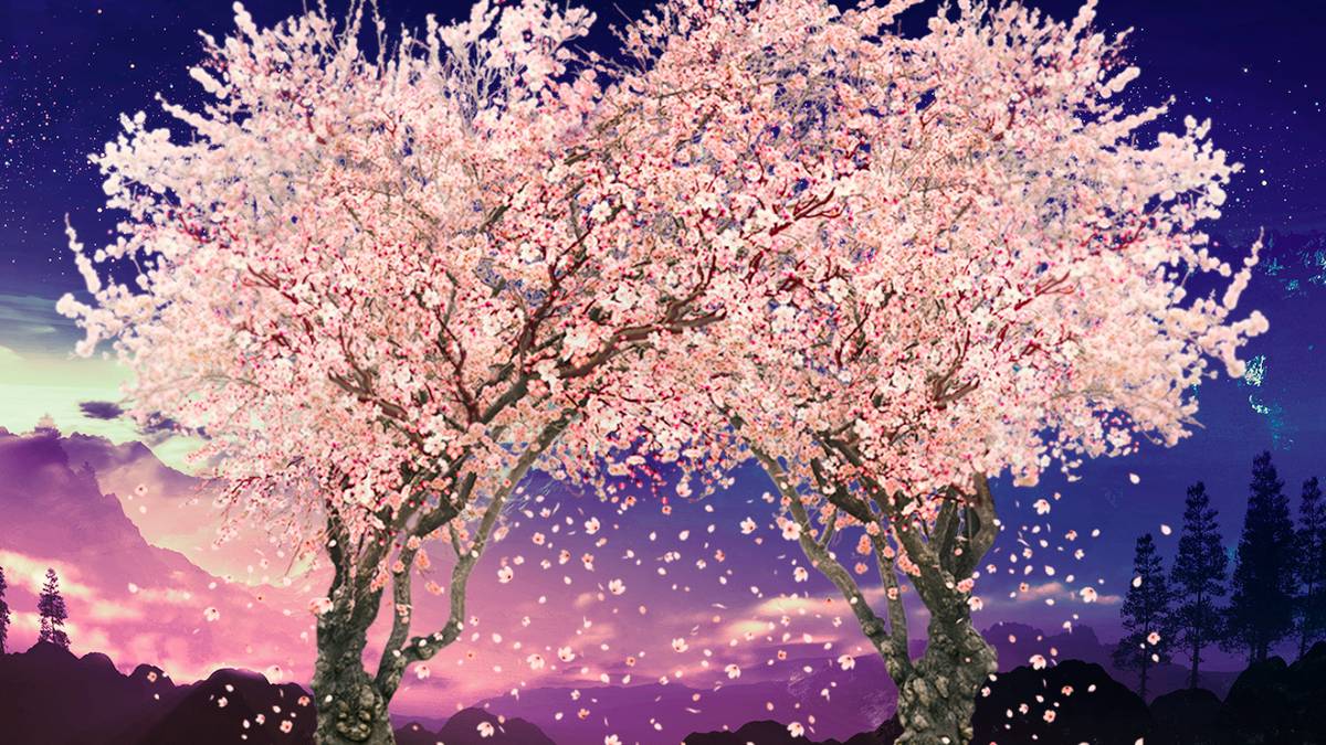 1200x675 The Secret Behind Anime's Iconic Cherry Blossom Trees