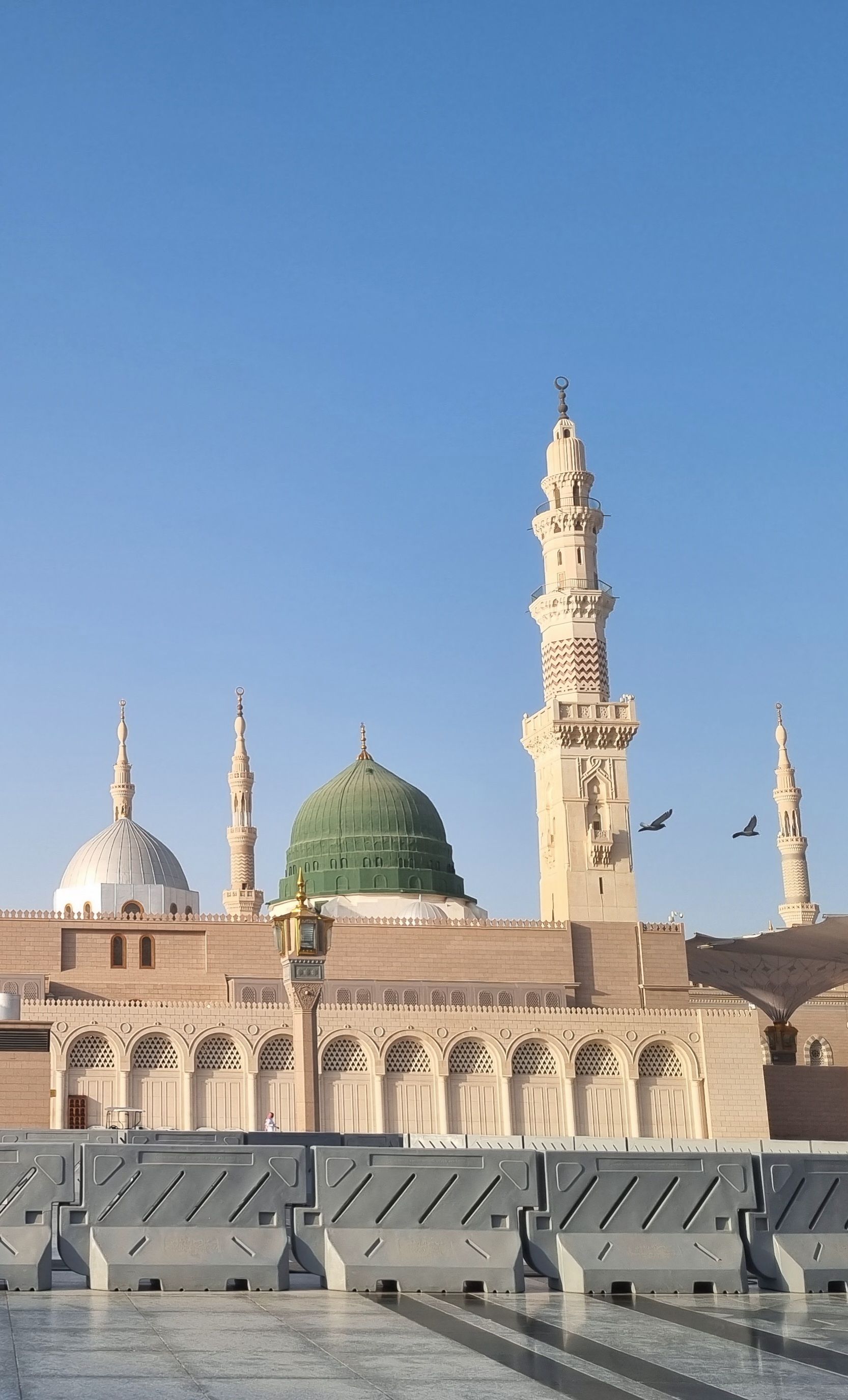 1666x2751 Majestic View Of Al Masjid An Nabawi's Green Dome · Free