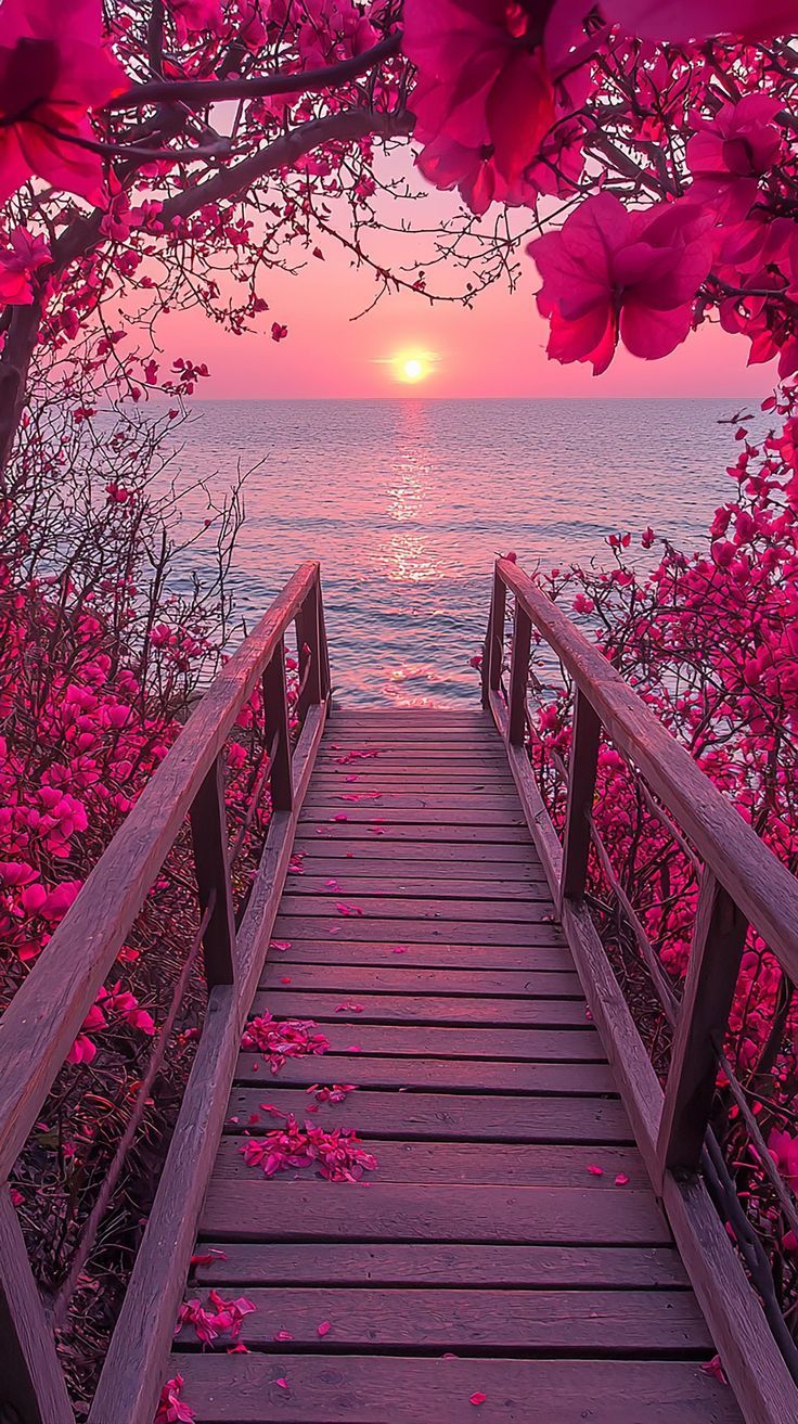 736x1313 Cute pink sunset. Pink aesthetic nature, Pink sunset over bridge, Pretty wallpaper background