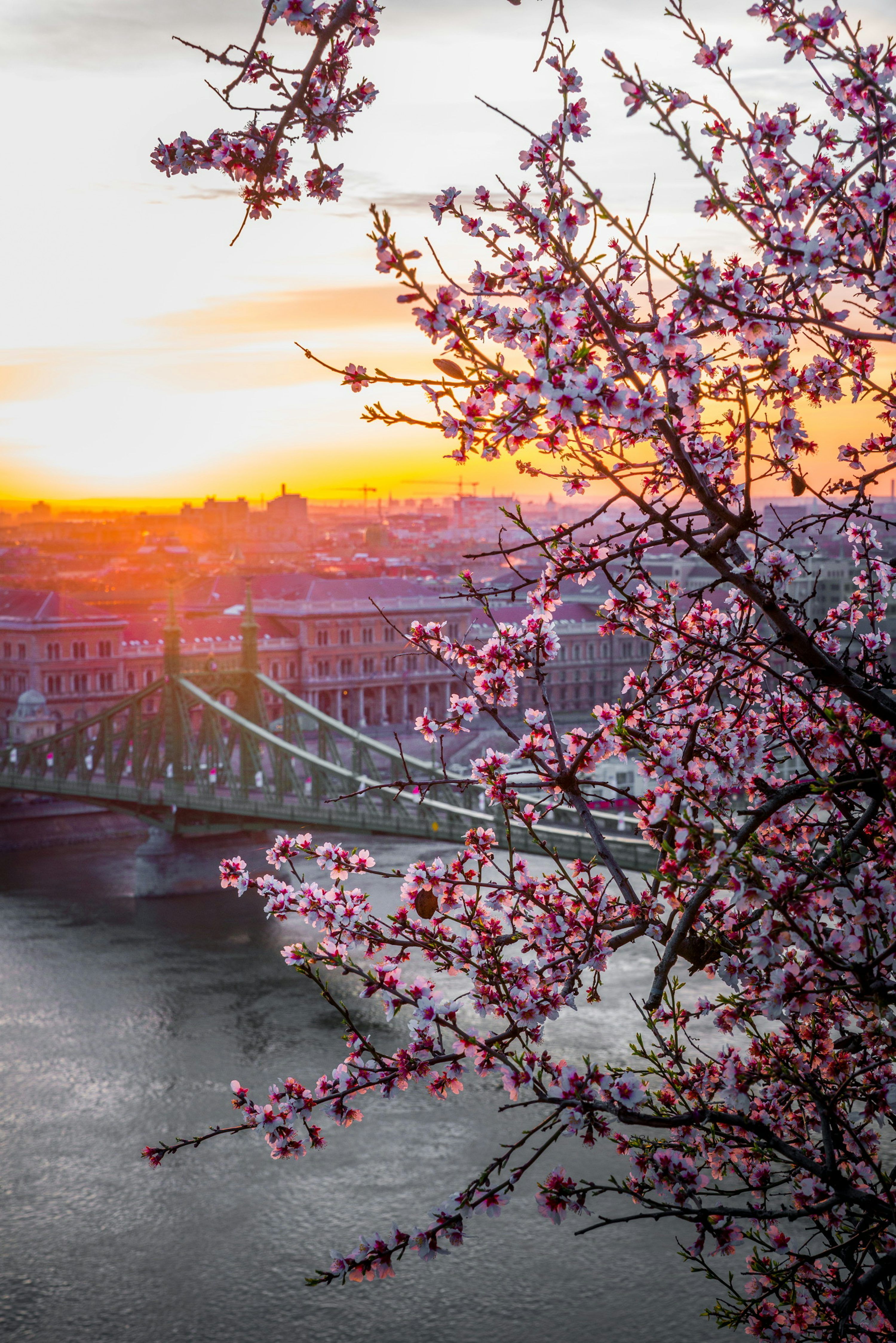 3000x4496 Landscape photography of bridge