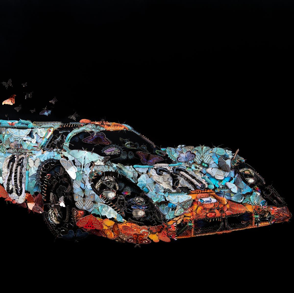 1200x1196 A Porsche 917 Made Out of Butterflies