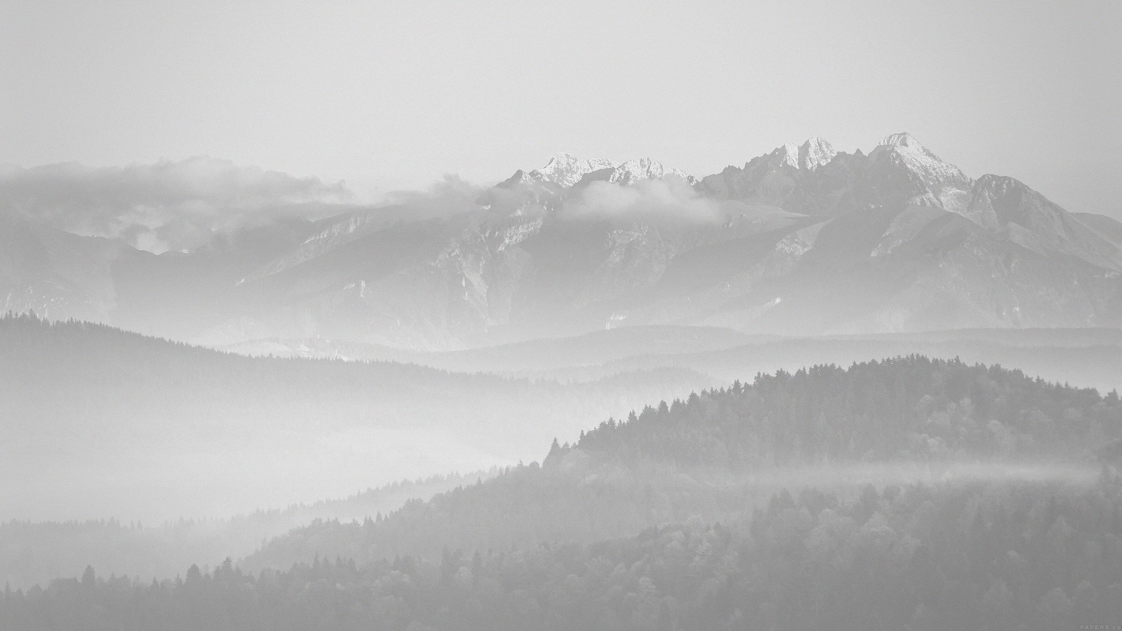3840x2160 White Minimalist Wallpaper 3840x2160 64969