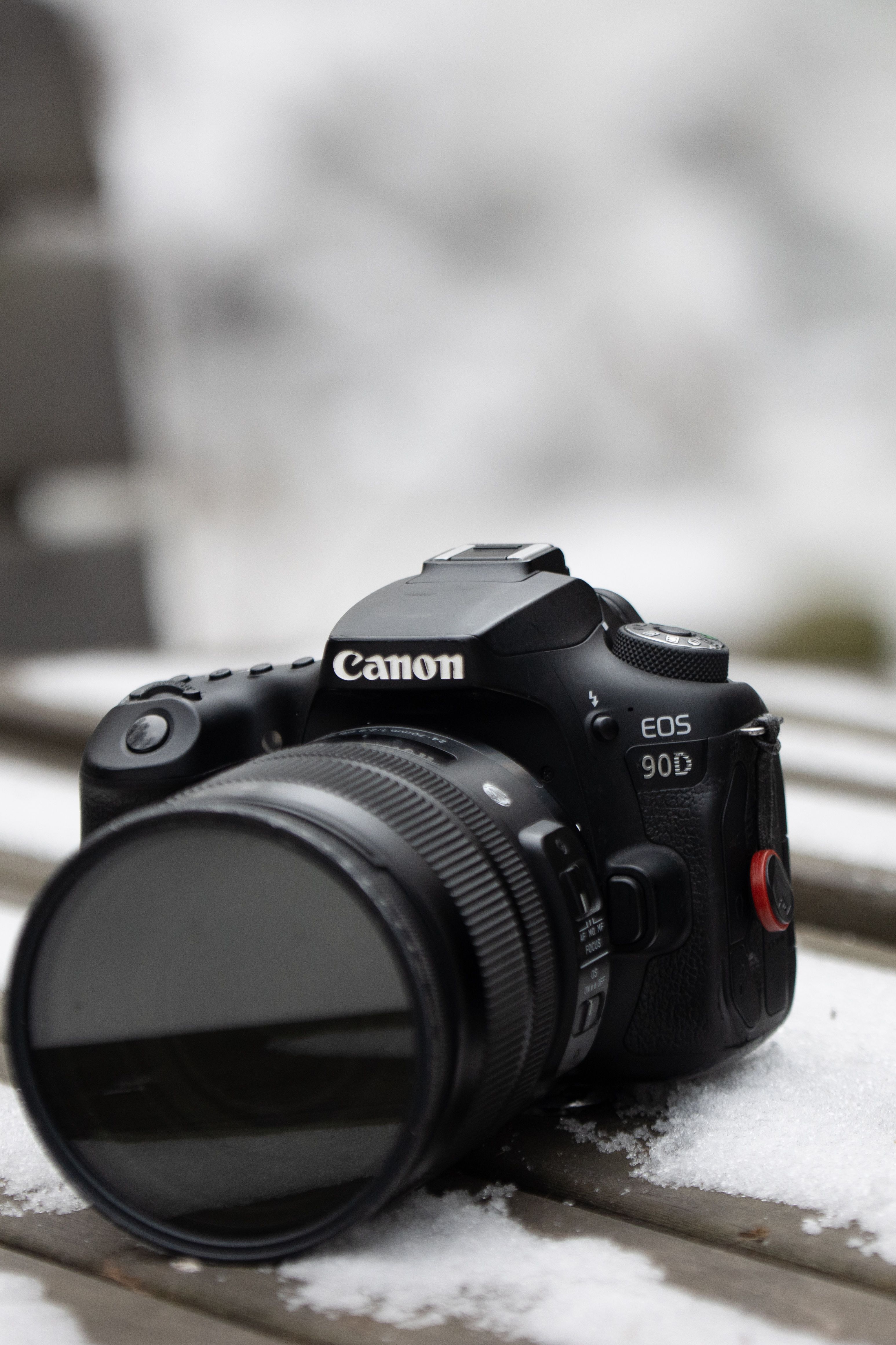 3093x4640 Canon 90d Photo, Download The BEST Free Canon 90d & HD Image
