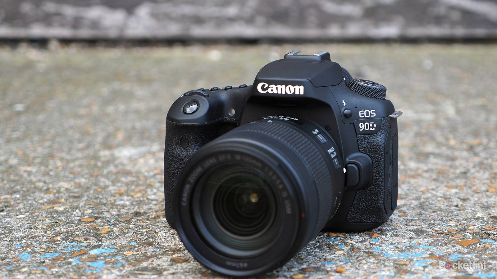 1600x900 Canon 90D Review: Higher Resolution High Stakes