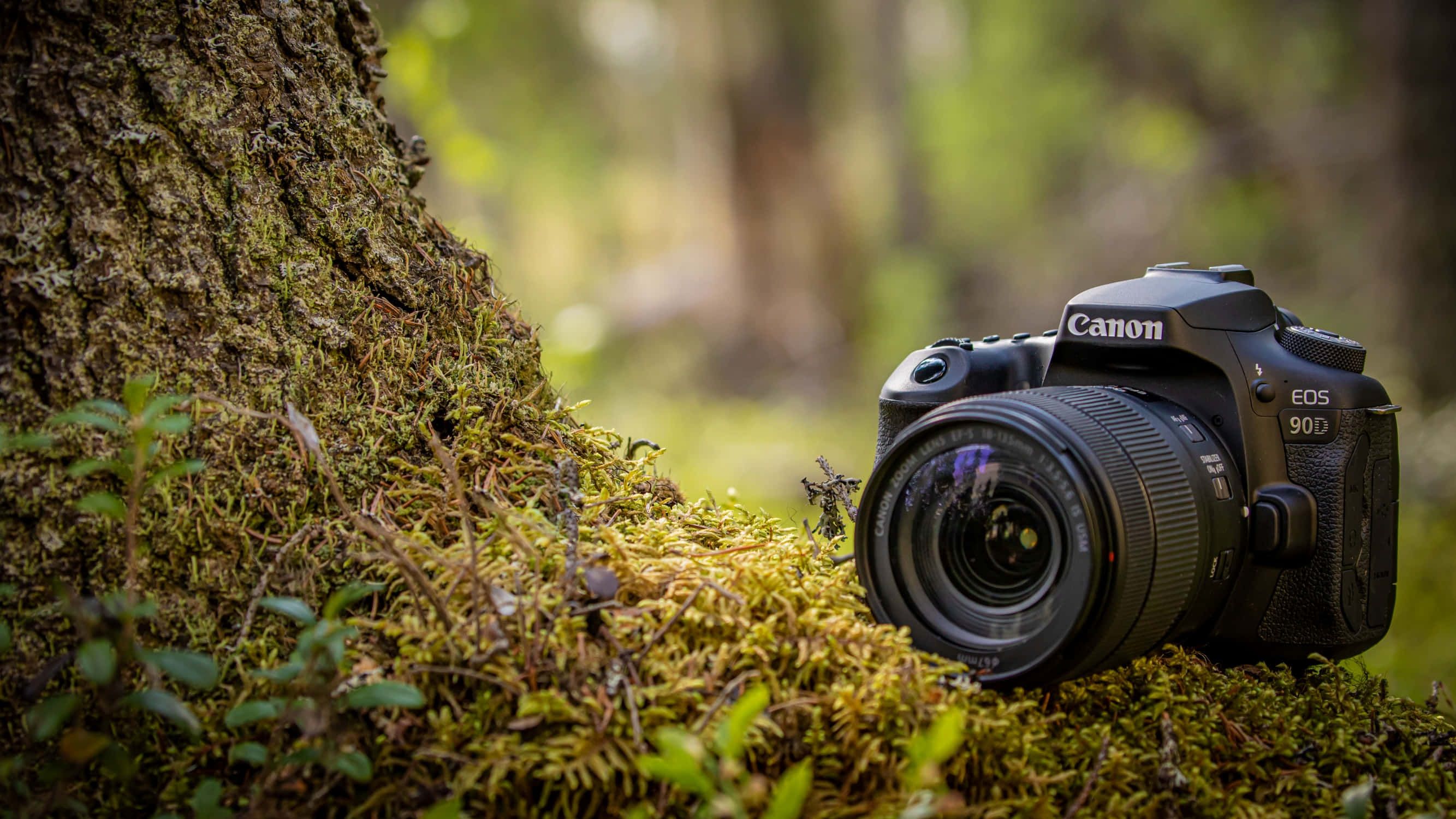 2667x1500 Download Capture Unforgettable Moments With This Top Of The Line Camera Picture
