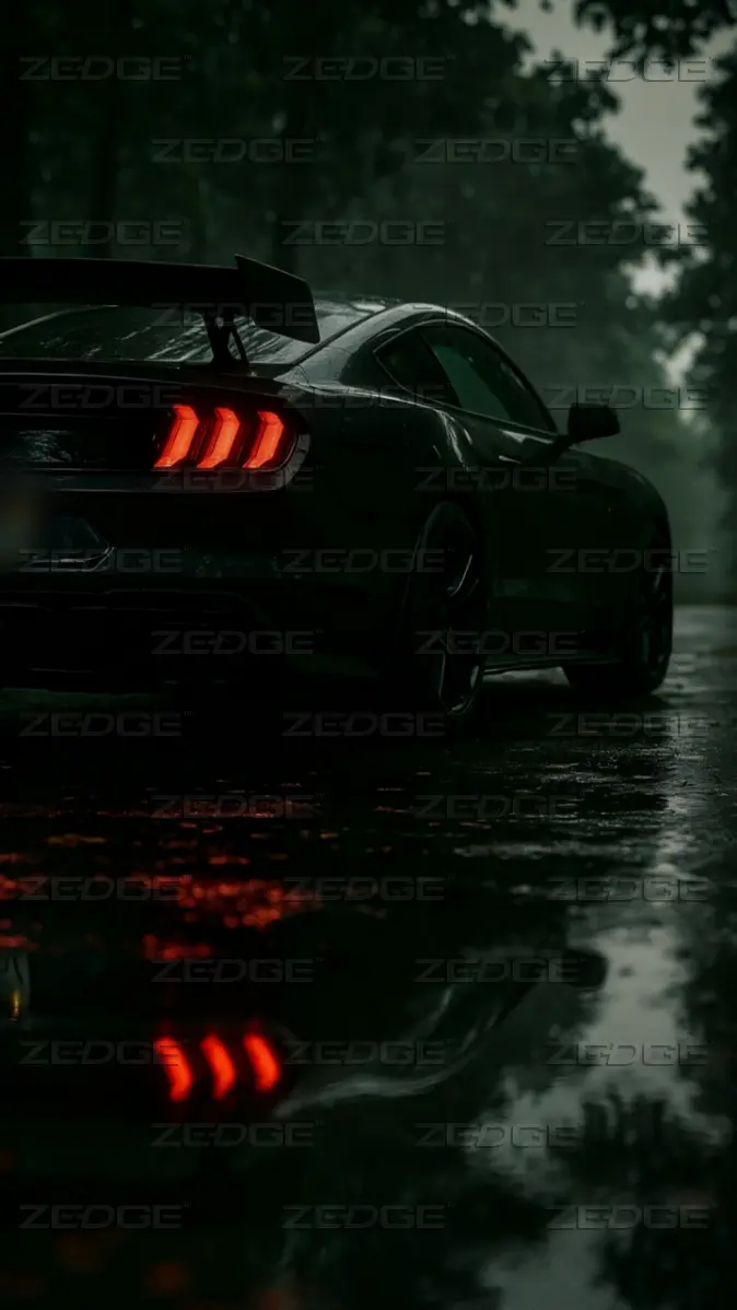 674x1198 Sportscar in rain wallpaper wallpaper