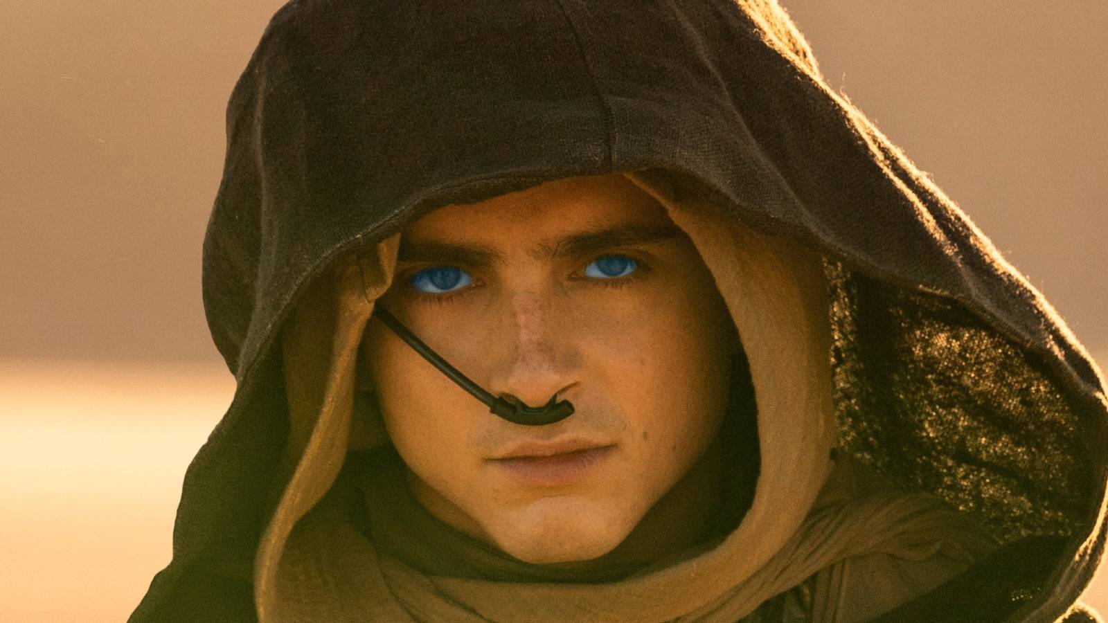 1600x900 Not A Trilogy: Dune: Messiah Will Have A Different Approach To Dune 1 And Denis Villeneuve Says