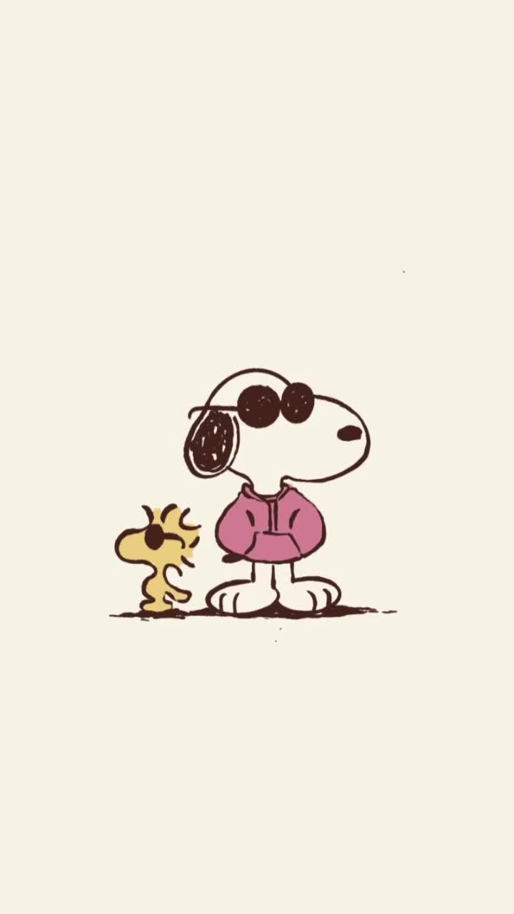 720x1280 Joe Cool Snoopy Wallpaper