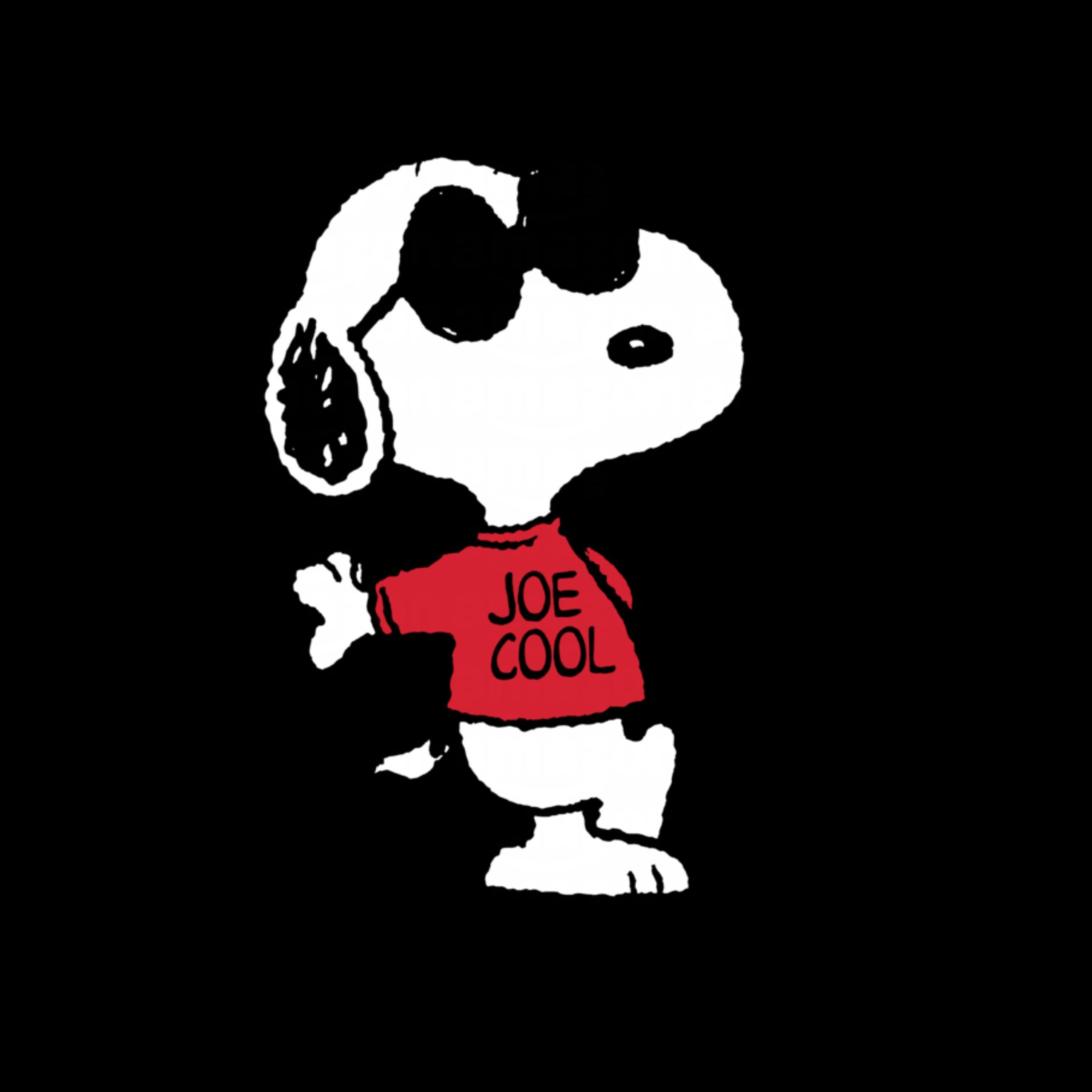 3000x3000 Snoopy Joe Cool Wall Art