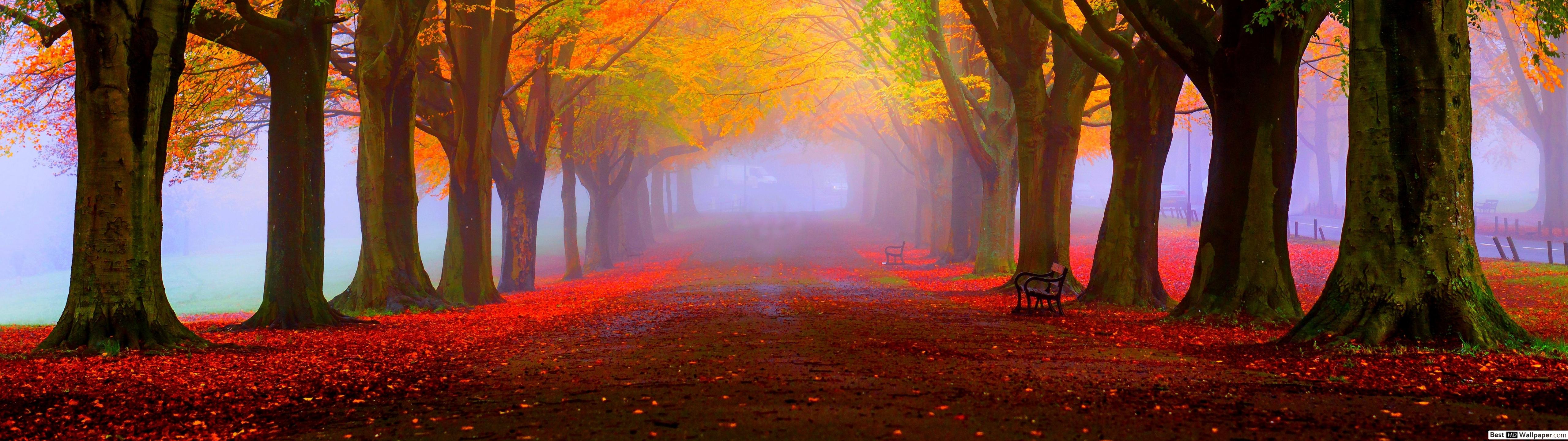 5120x1440 Autumn Wallpaper