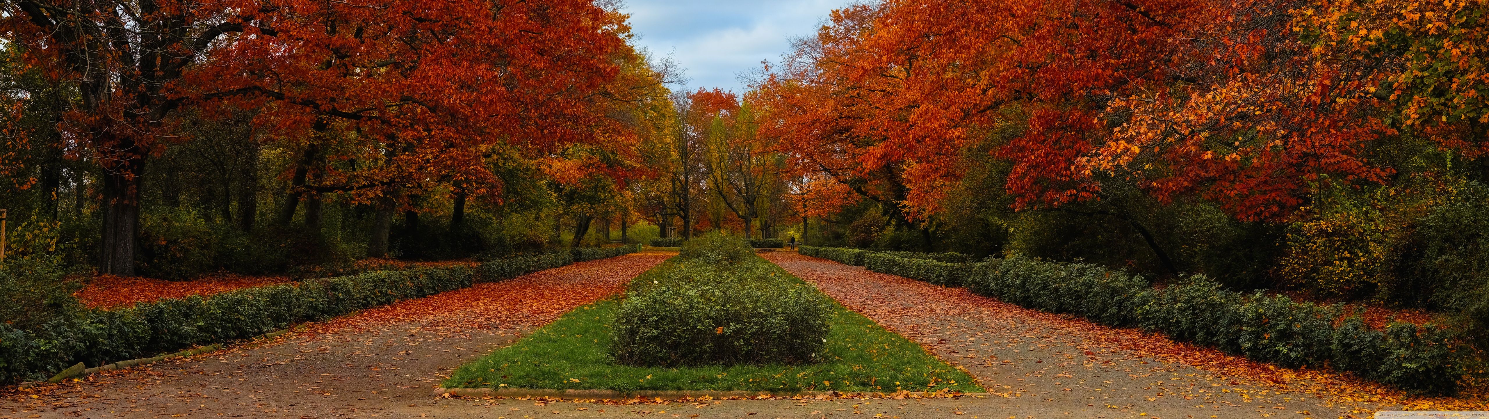 5120x1440 Autumn Pathway 4K UHD Wallpaper for UltraHD Desktop and TV : Dual Monitor : Smartphone and Tablet Devices