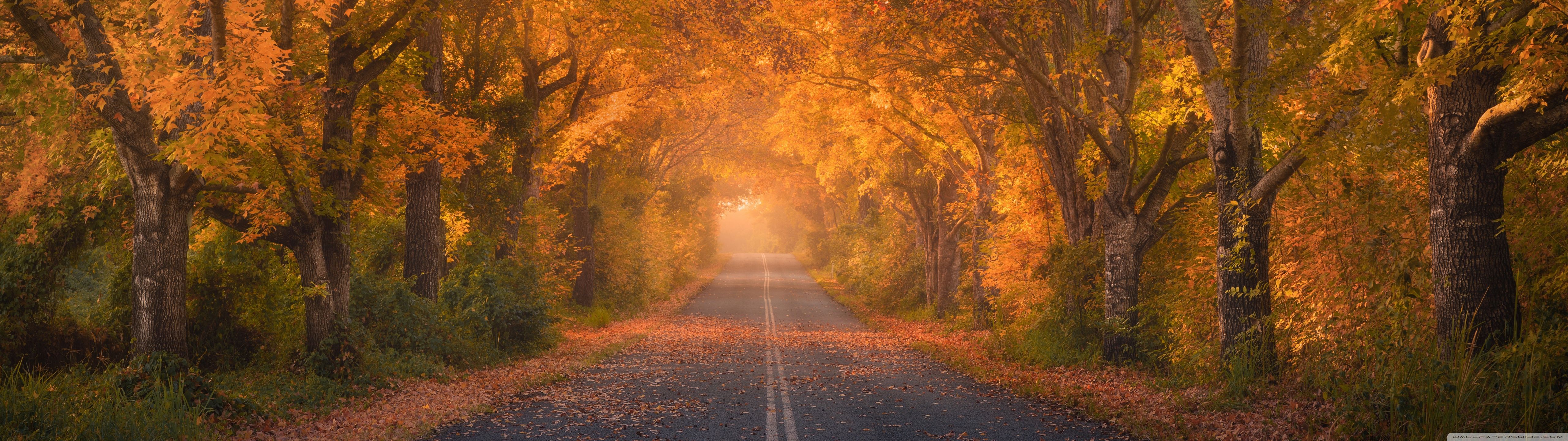 5120x1440 Travel Autumn 4K UHD Wallpaper for UltraHD Desktop and TV : Widescreen and UltraWide Display : Dual Monitor : Smartphone and Tablet Devices