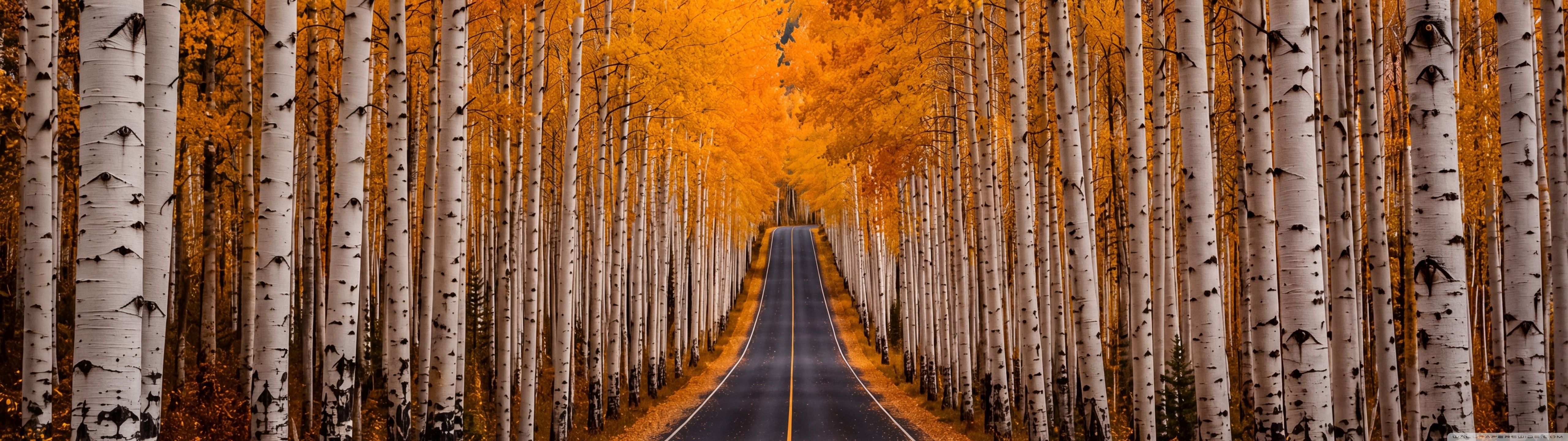 5120x1440 5120x1440 Dual HD 16:9 High Quality Desktop Wallpaper for UltraHD TV, Smartphone, Tablet