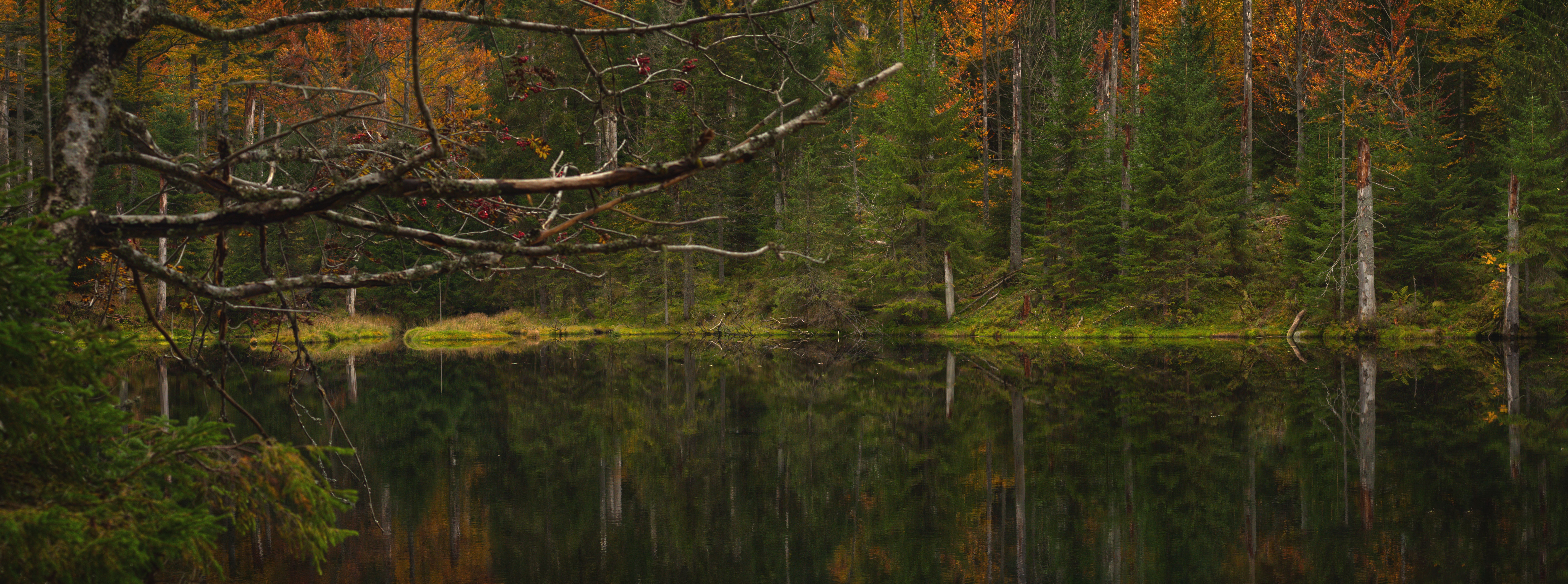 9950x3705 Ultrawide Fall Wallpaper Photo, Download The BEST Free Ultrawide Fall Wallpaper & HD Image