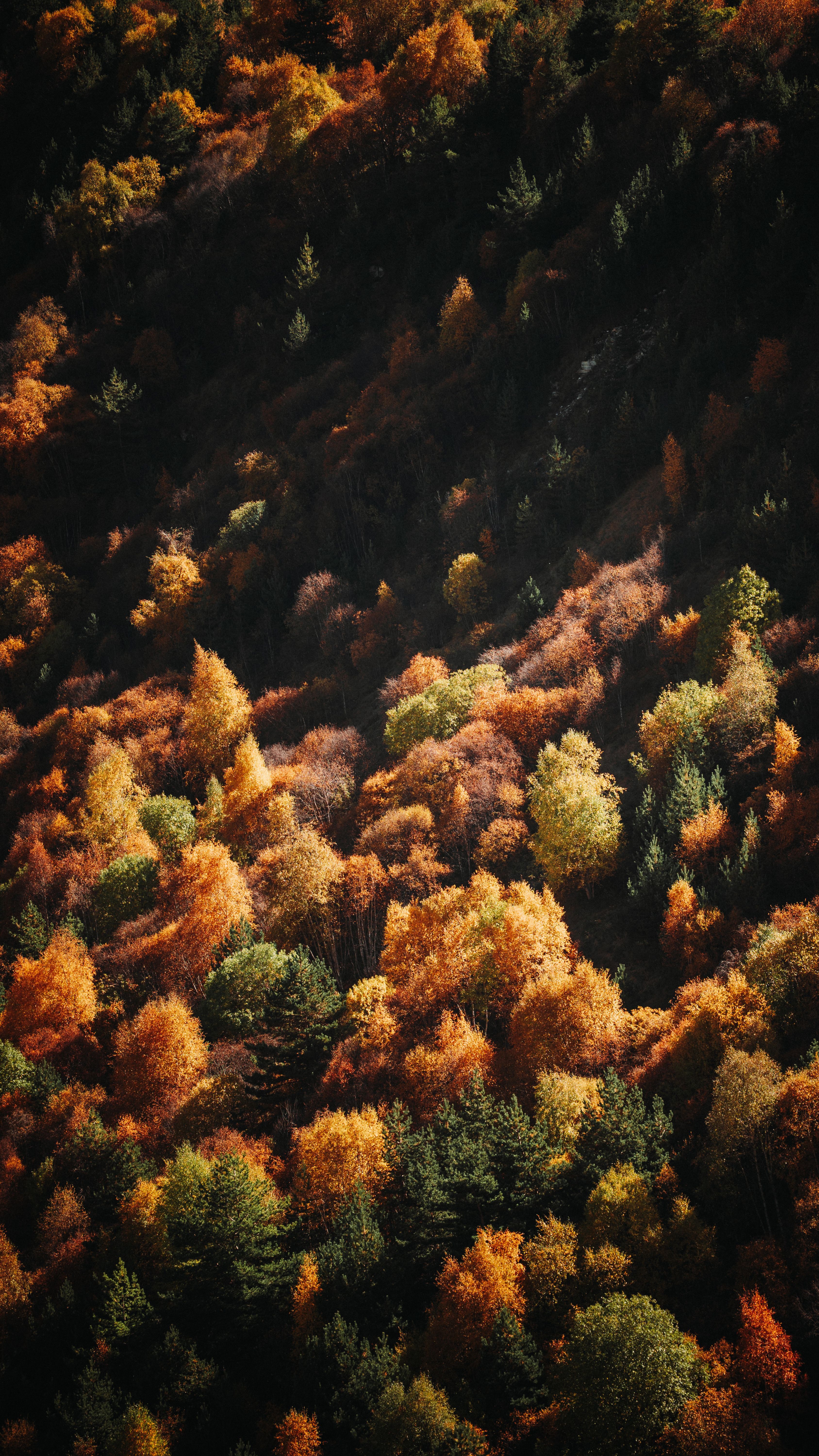 3375x6000 Ultrawide Fall Wallpaper Photo, Download The BEST Free Ultrawide Fall Wallpaper & HD Image