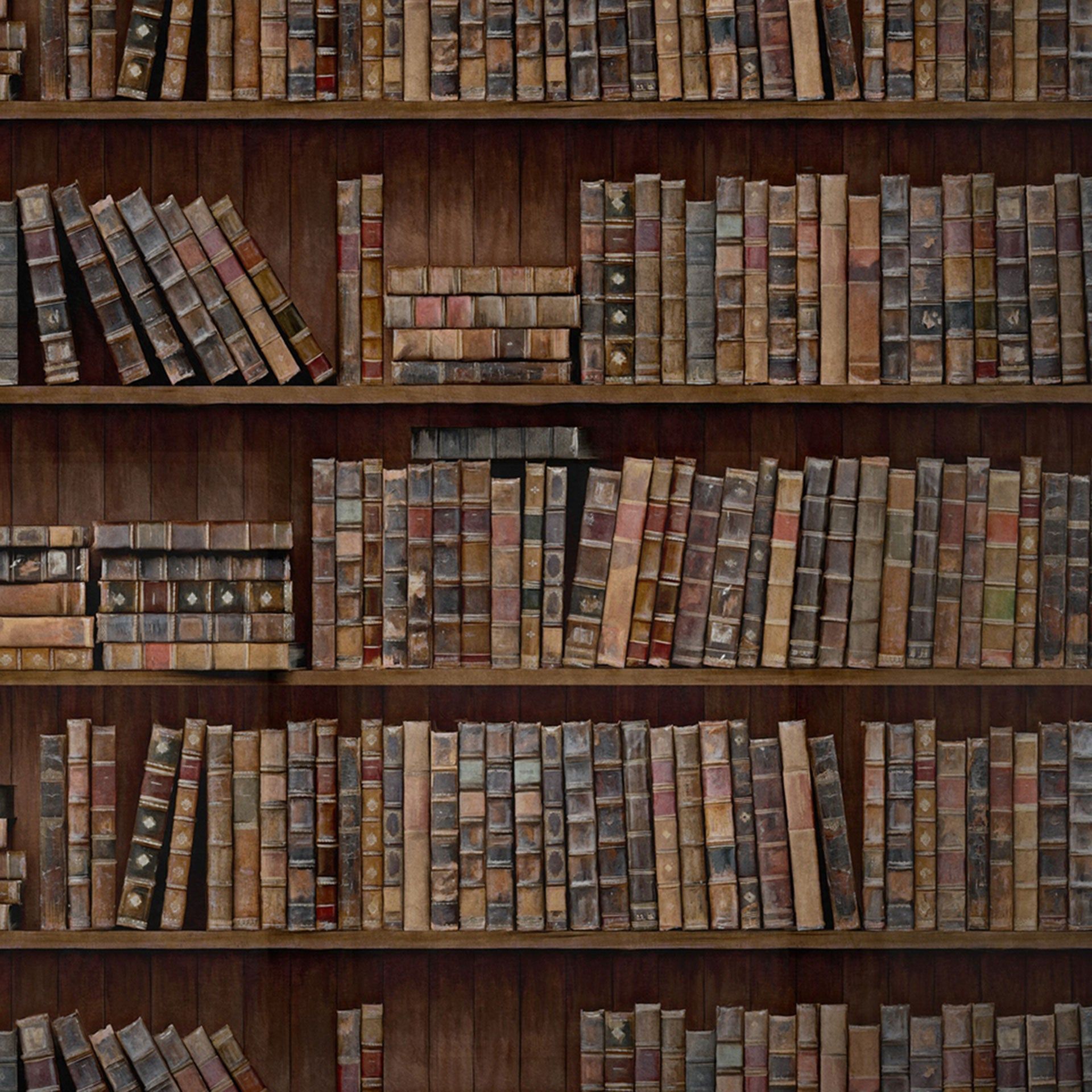 1920x1920 Book Shelves Wallpaper