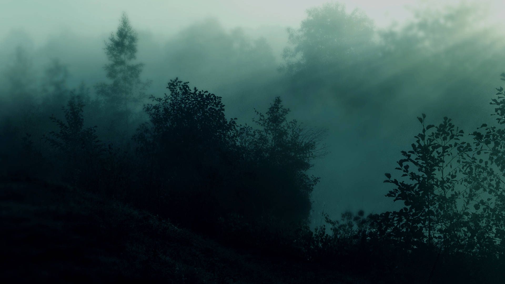 1920x1080 Download Beautiful and Serene Teal Dark Forest Wallpaper
