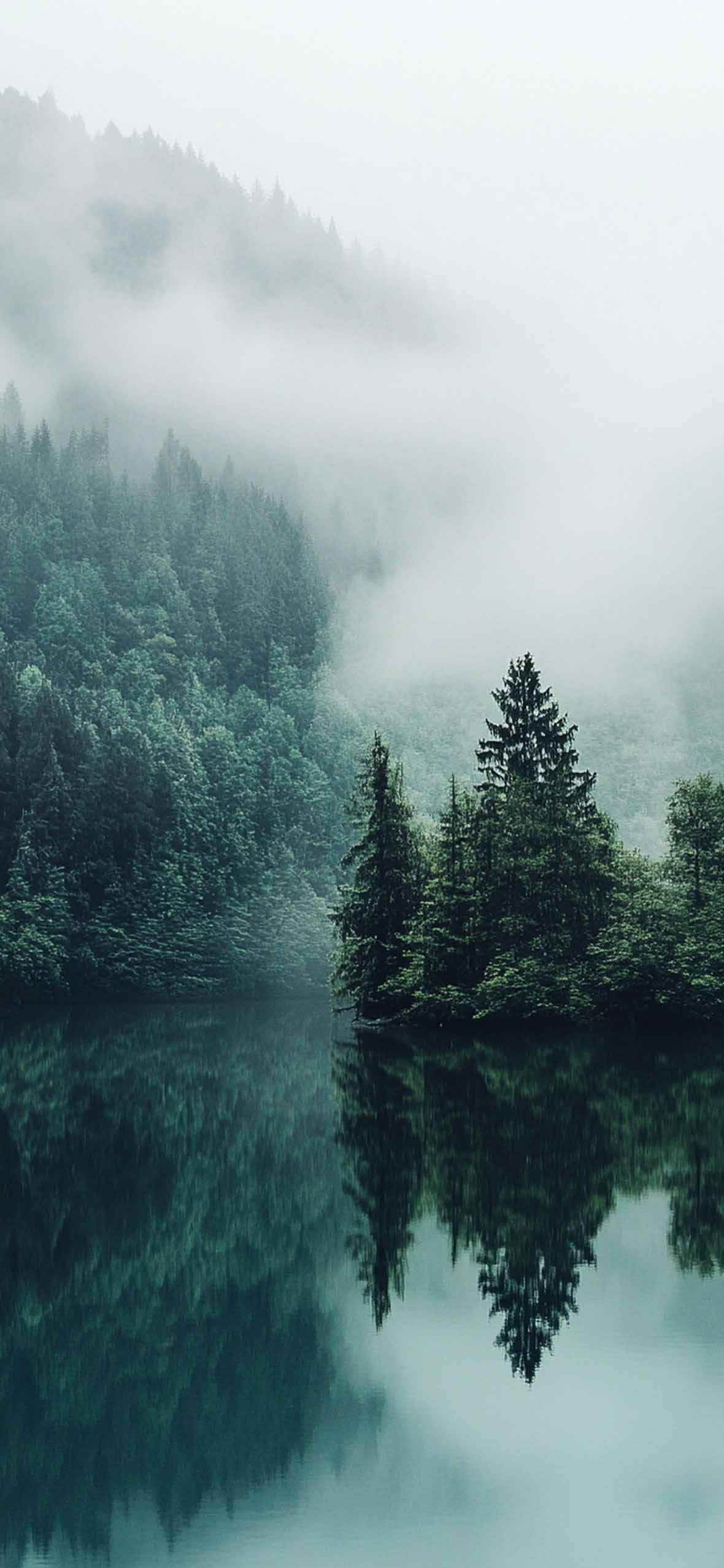 1180x2554 Misty Mountain Forest Raflectio Wallpaper Nature Wallpaper