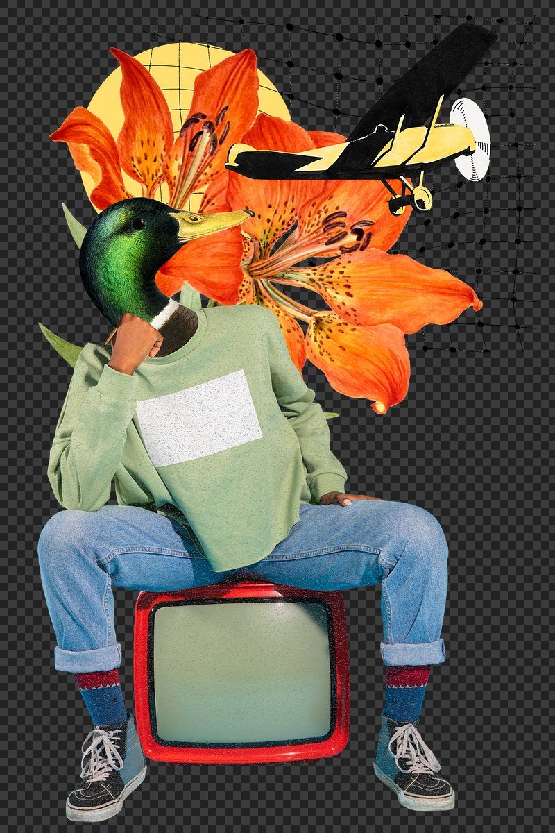 800x1200 Collage Art Image Wallpaper