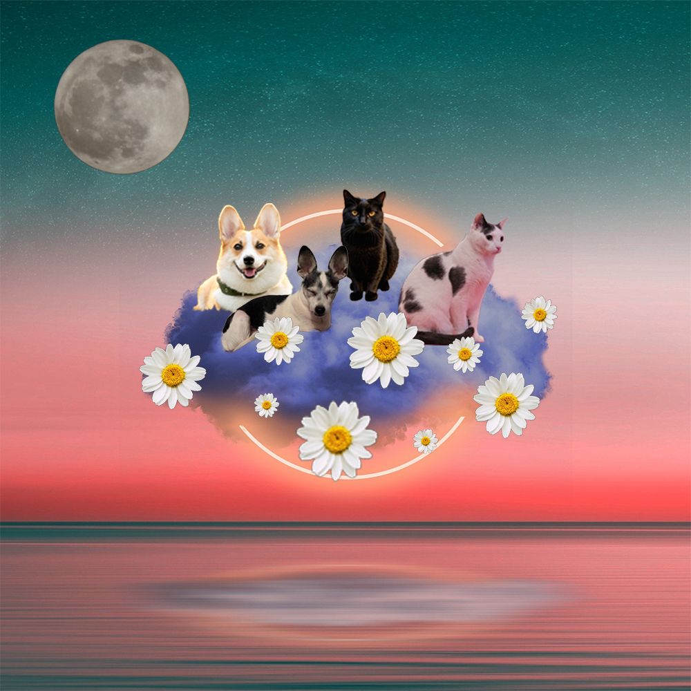 1000x1000 Collage and Composite Examples