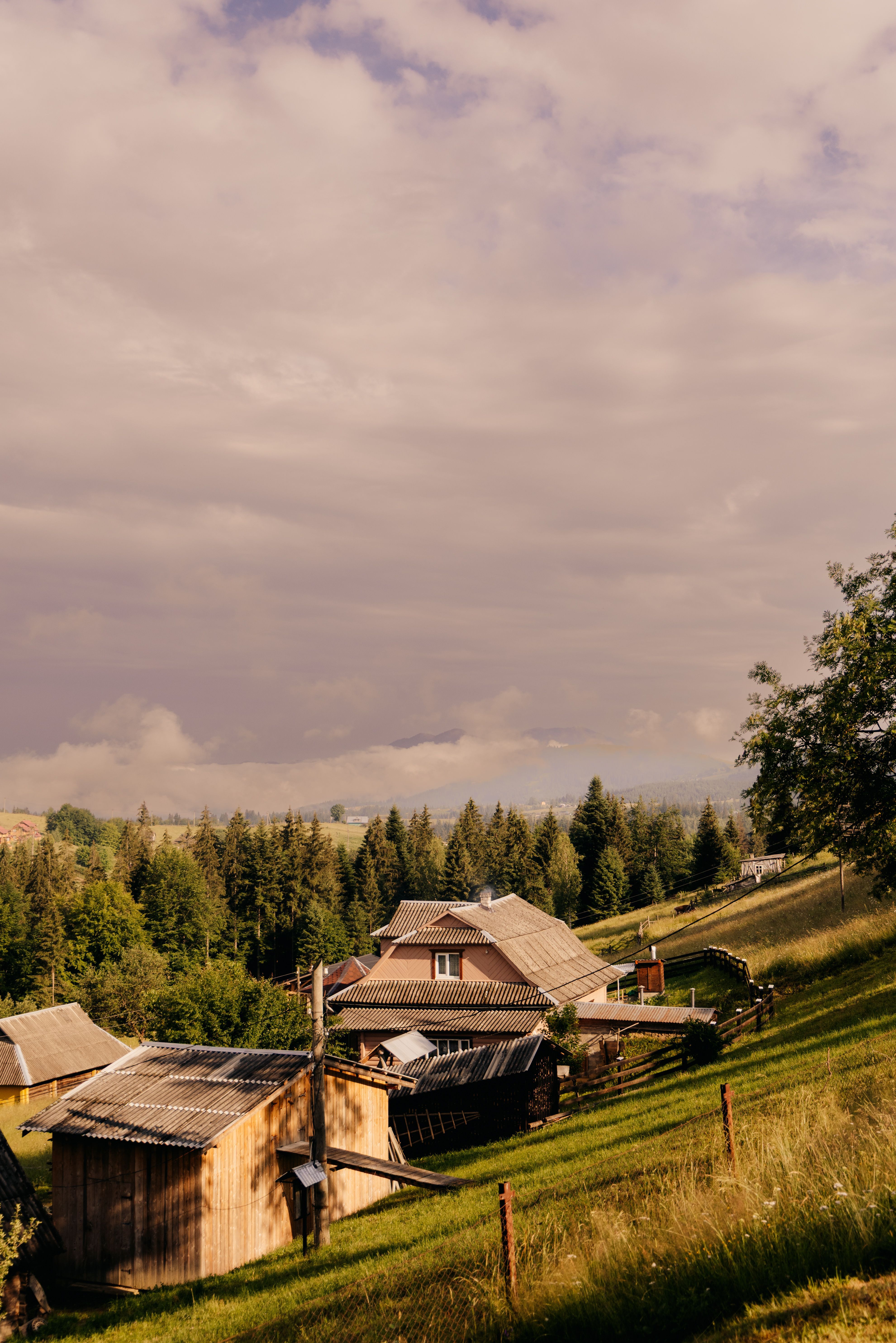 3961x5941 Charming Village Road in the Carpathians at Sunset · Free