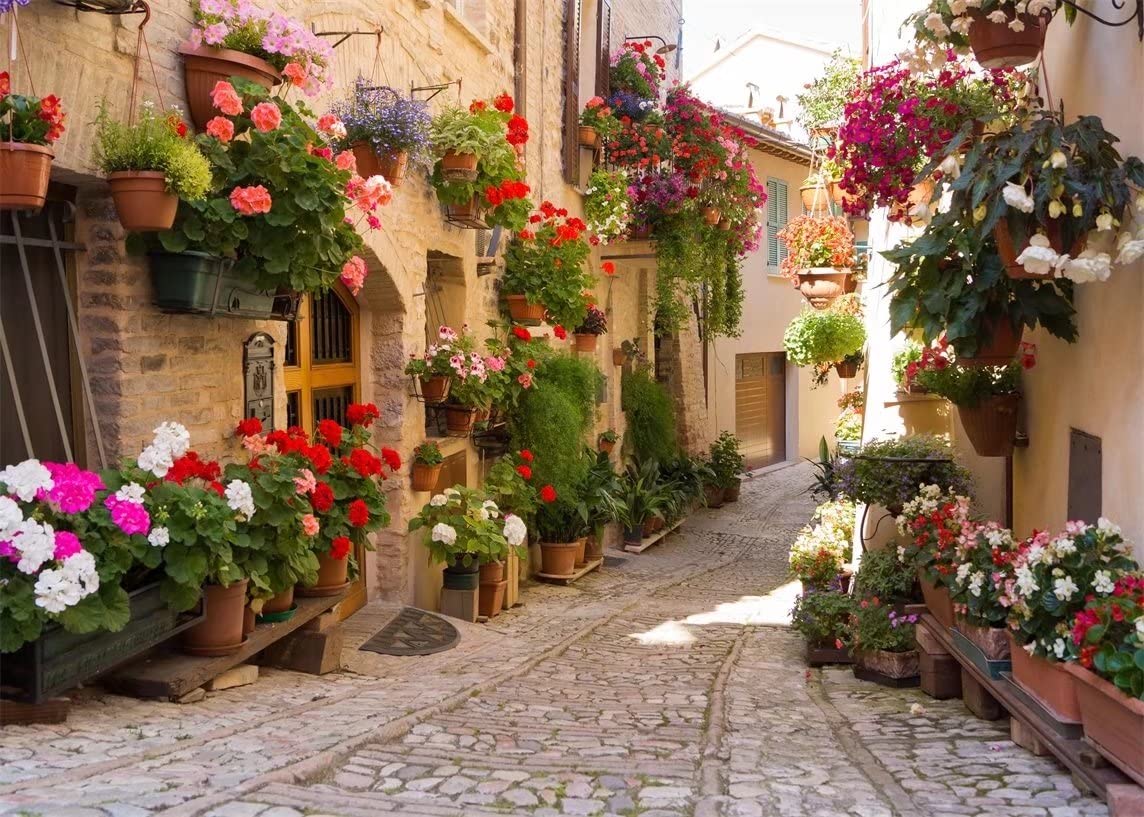1144x817 Amazon.com : BELECO 7x5ft Fabric Italy Street Photography Backdrop Europe Village Town Landscape Buildings Colorful Flowers Photo Background Italian Themed Party Backdrop Holiday Travel Picture Shooting Wallpaper