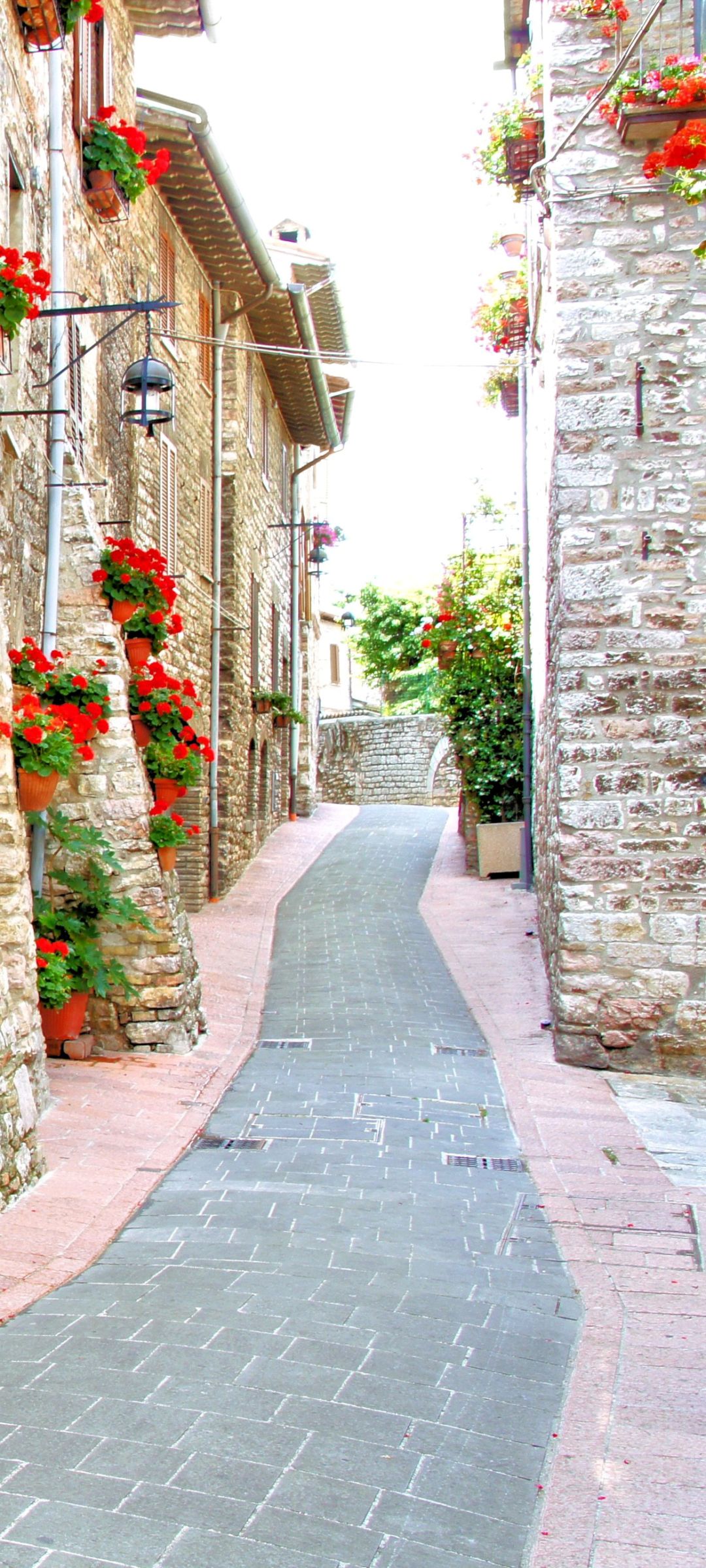 1080x2400 Phone wallpaper: Street, Man Made, Italy 1408064