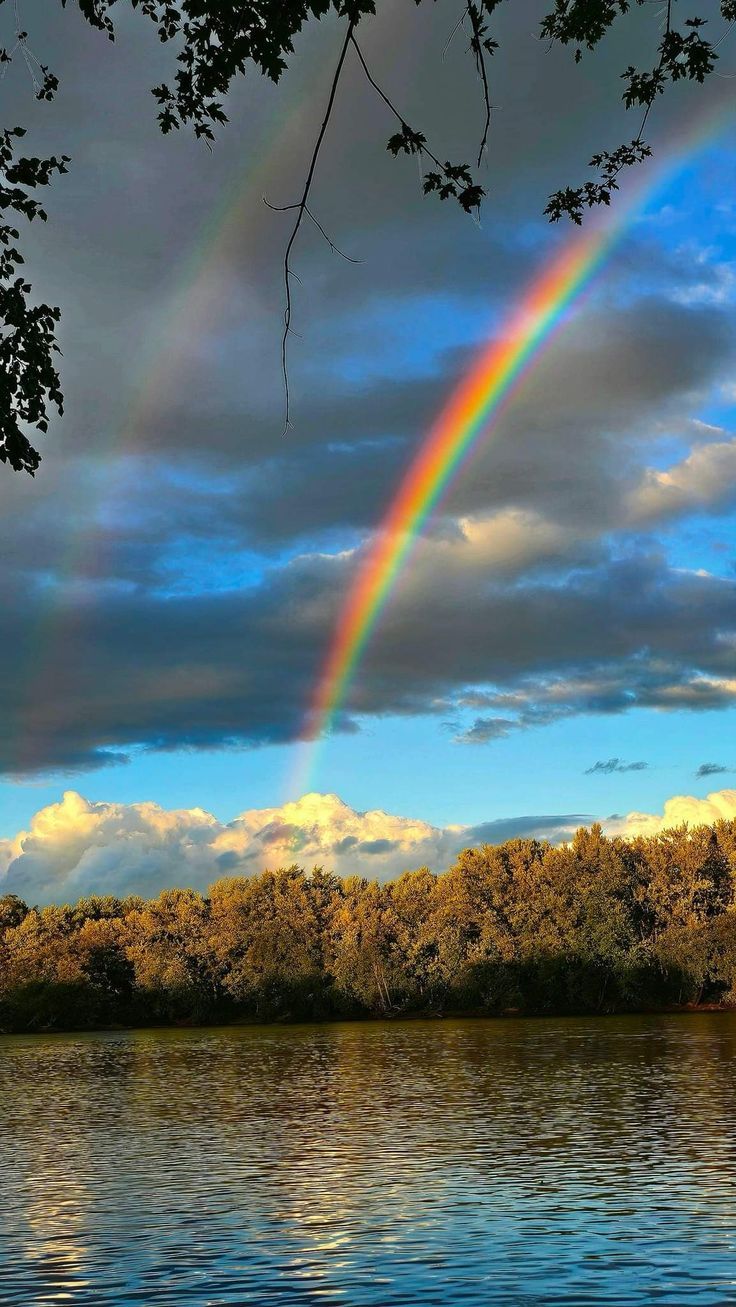 736x1307 Rainbow skies. Rainbow rain wallpaper aesthetic, Rainbow river background, Rainbow photography nature