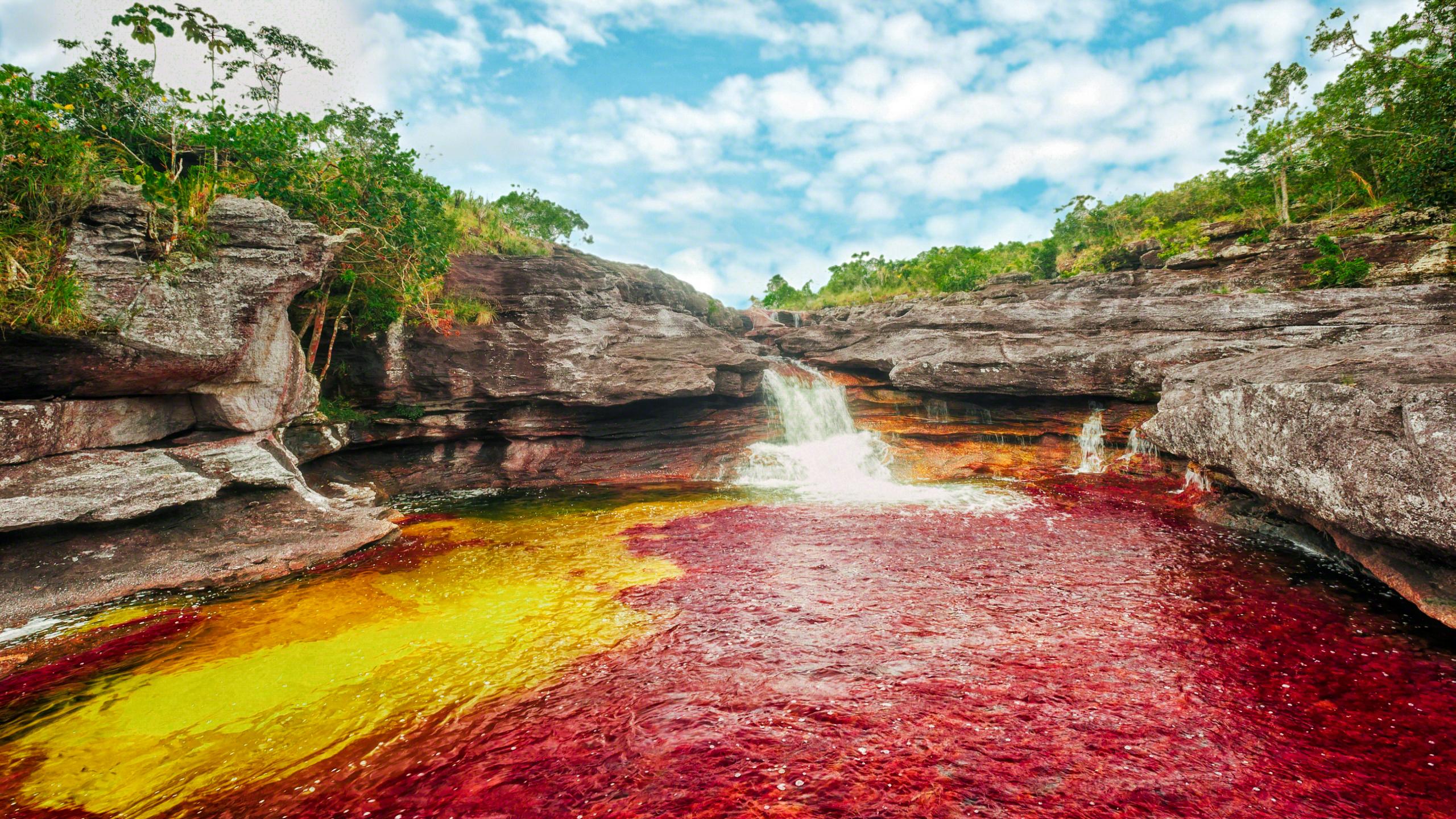 2560x1440 Colombia's Rainbow River Is A Breath Taking Example Of Nature's Brilliant Colors