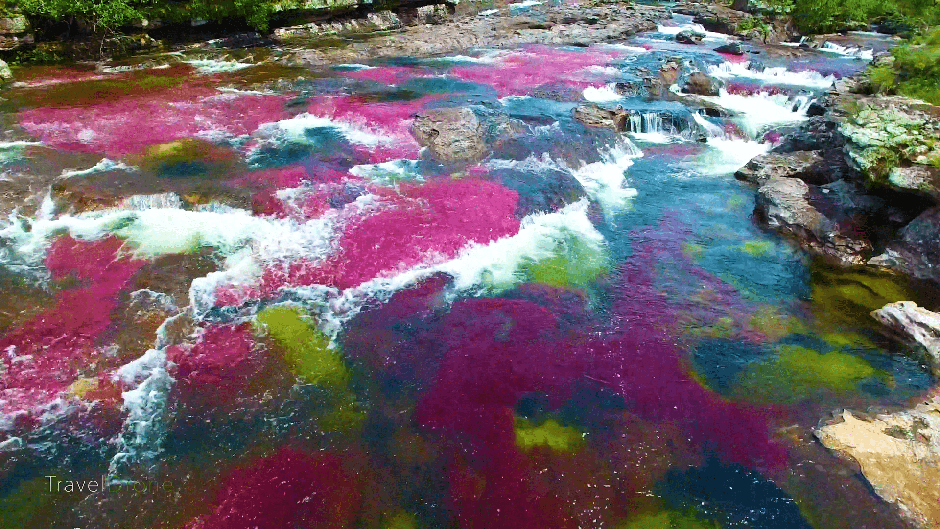 1920x1080 This rainbow river in Colombia has been labelled the most beautiful in the world