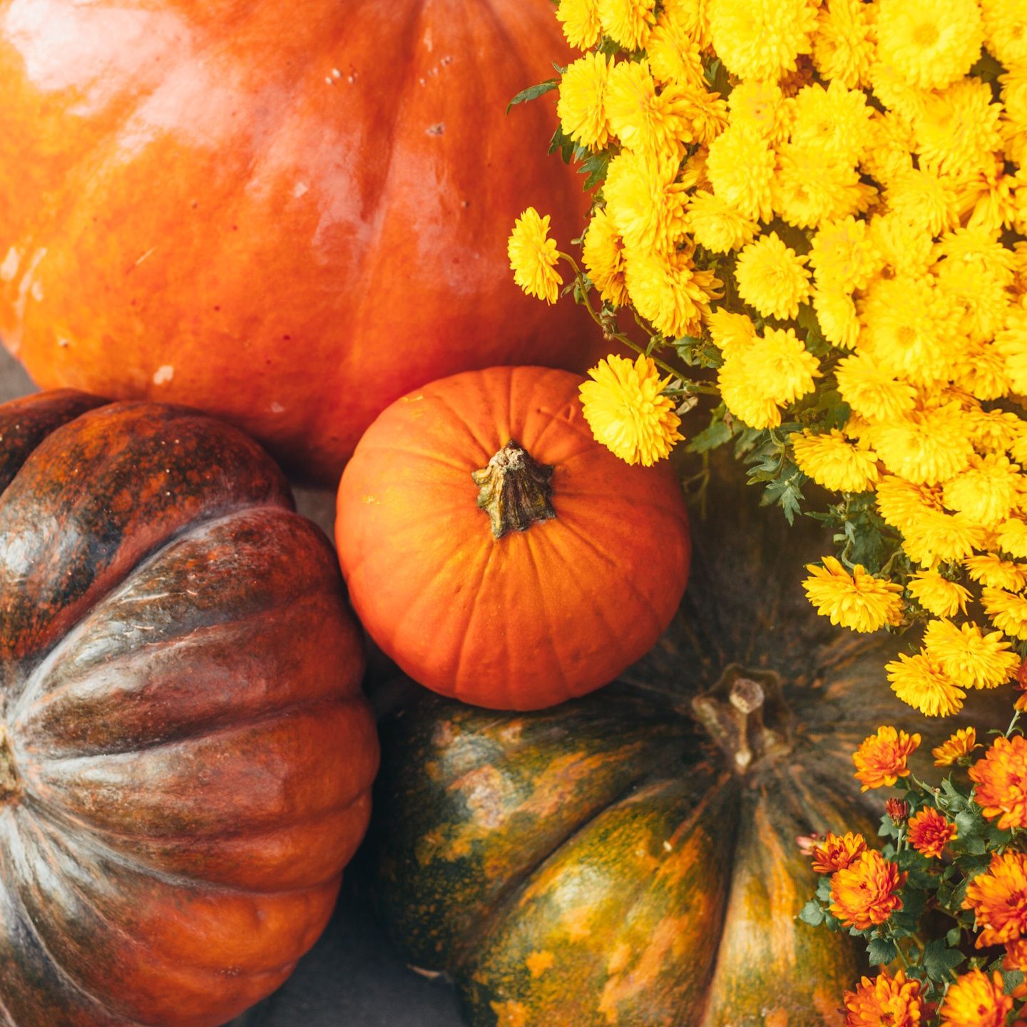 1440x1440 The Pumpkin Plant Pot Trend is Elevating Fall Porches. Homes and Gardens