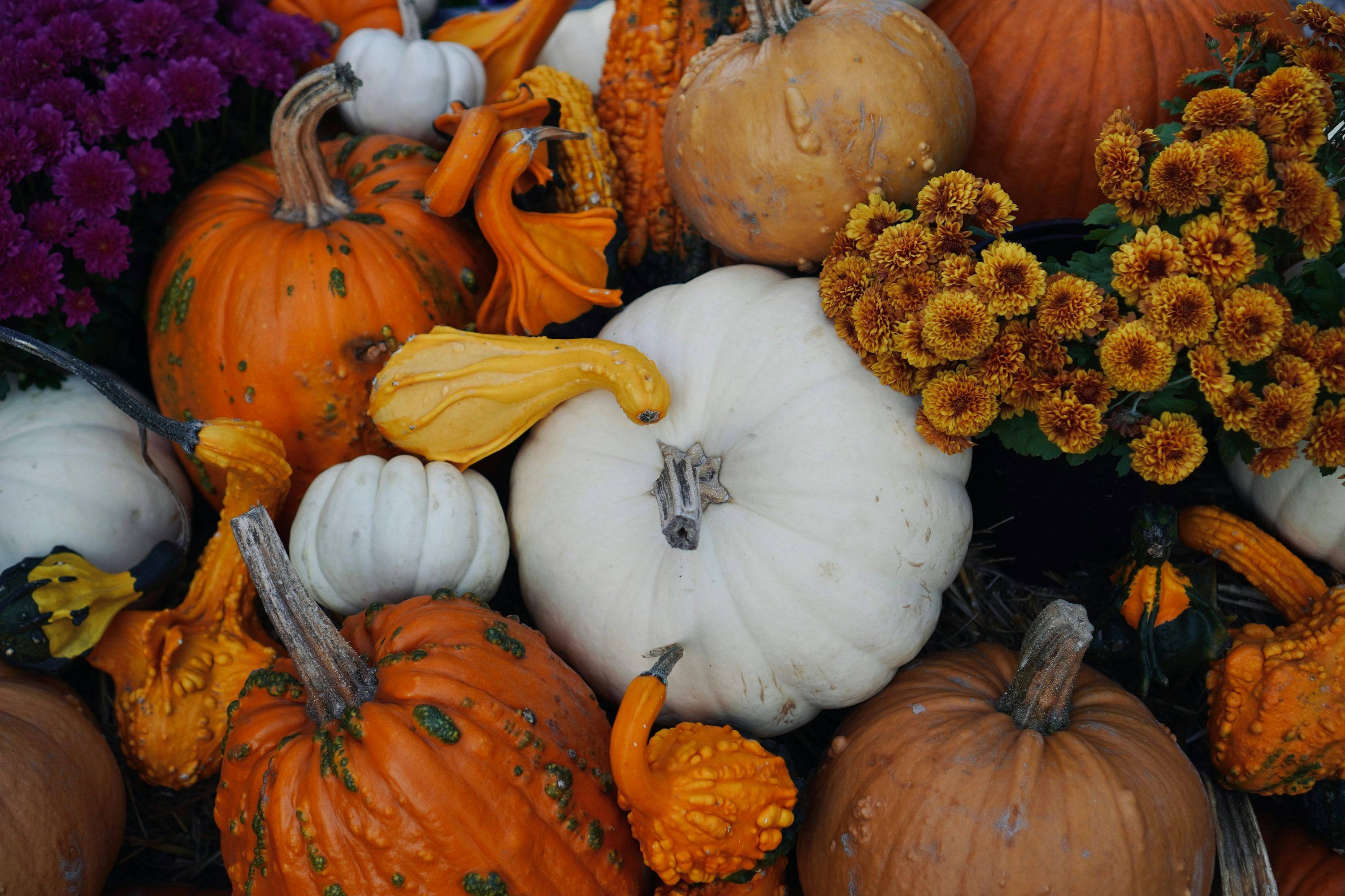 3000x2000 A pile of pumpkins and flowers sitting next to each other