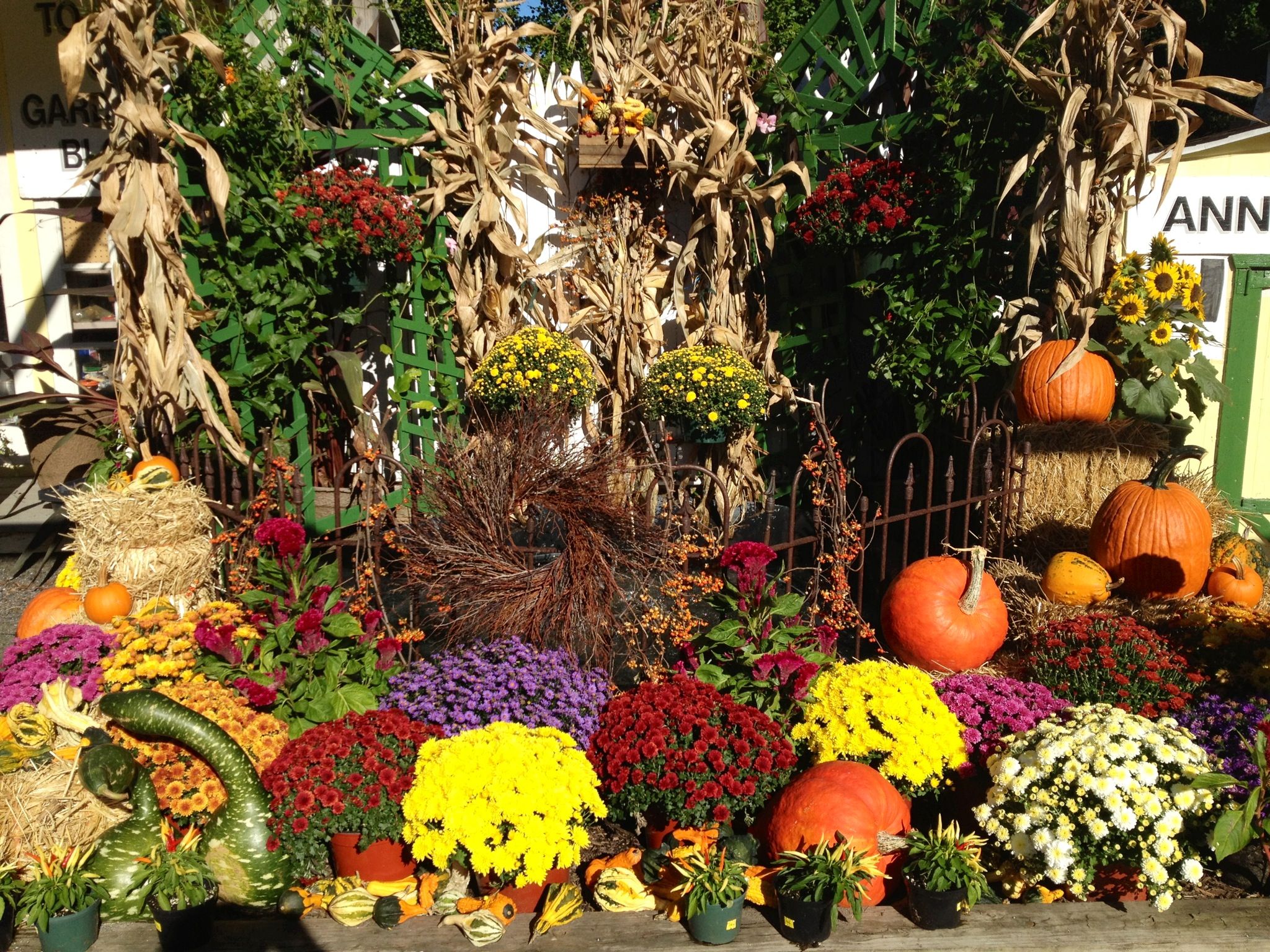 2048x1536 Perfecting Your Autumn Display's Apple House