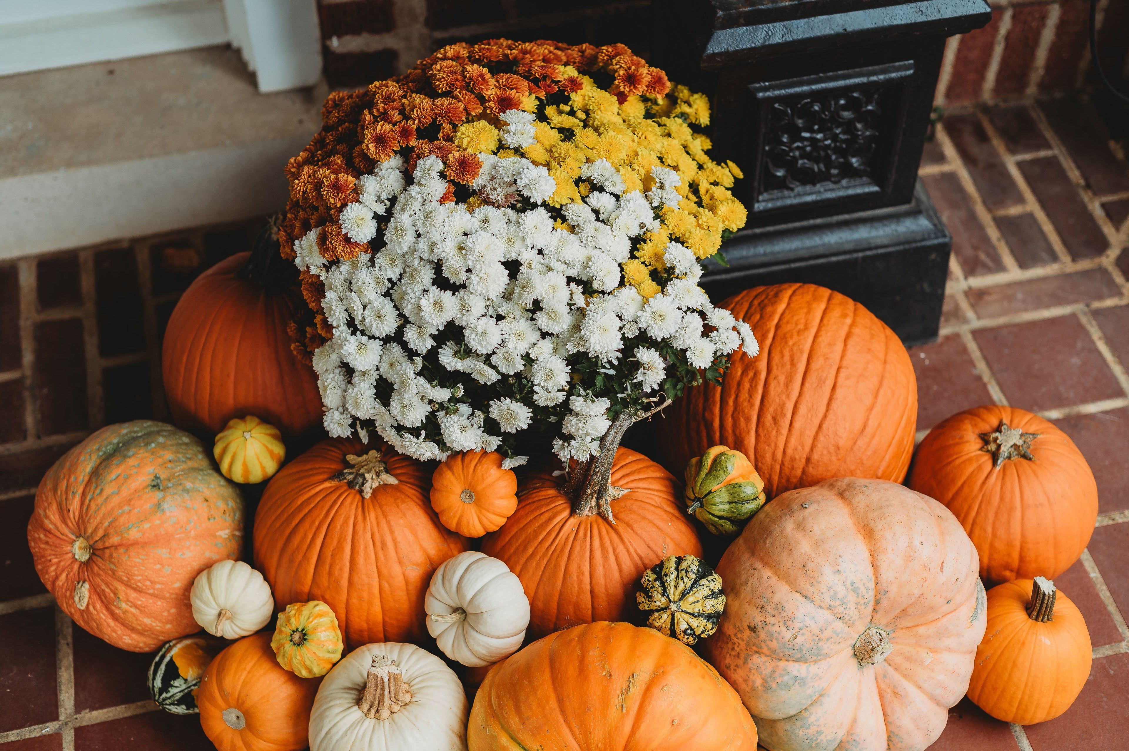 3840x2555 The Proper Pumpkin LLC