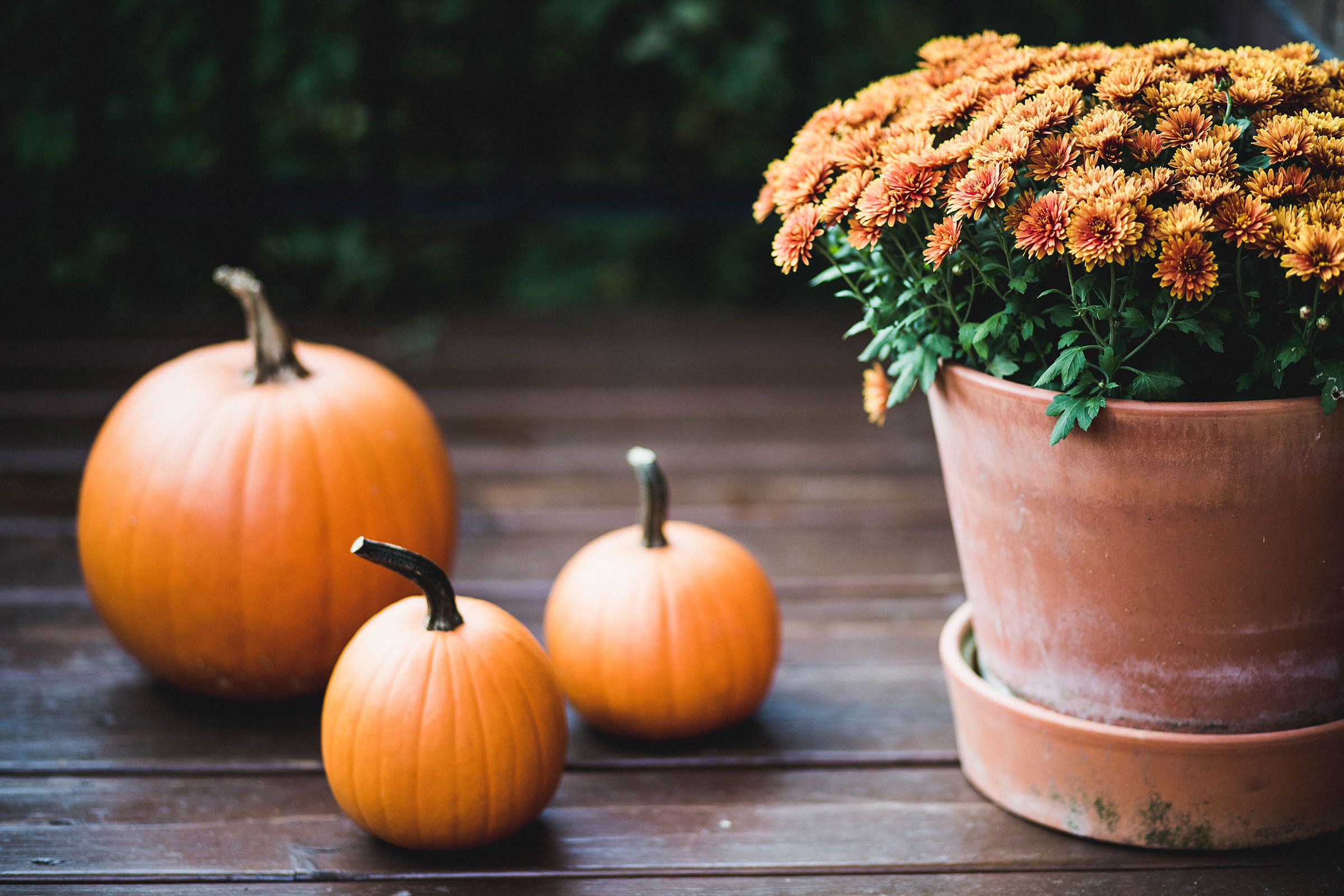 2400x1600 festive ways to decorate with mums for fall