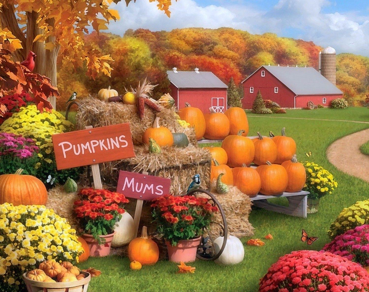 1500x1185 Fall Mums Wallpaper