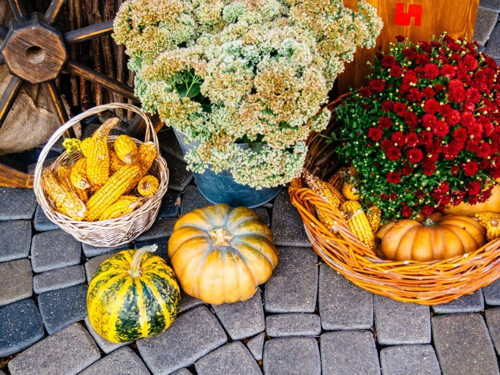 1600x1200 Garden Halloween Decorations: Growing Halloween Plants For Displays. Gardening Know How