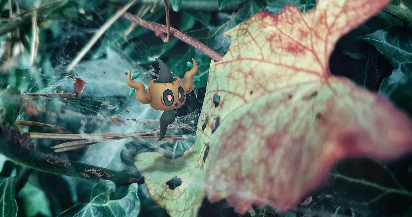 1316x695 Phantump Raid Guide. Pokémon GO Hub
