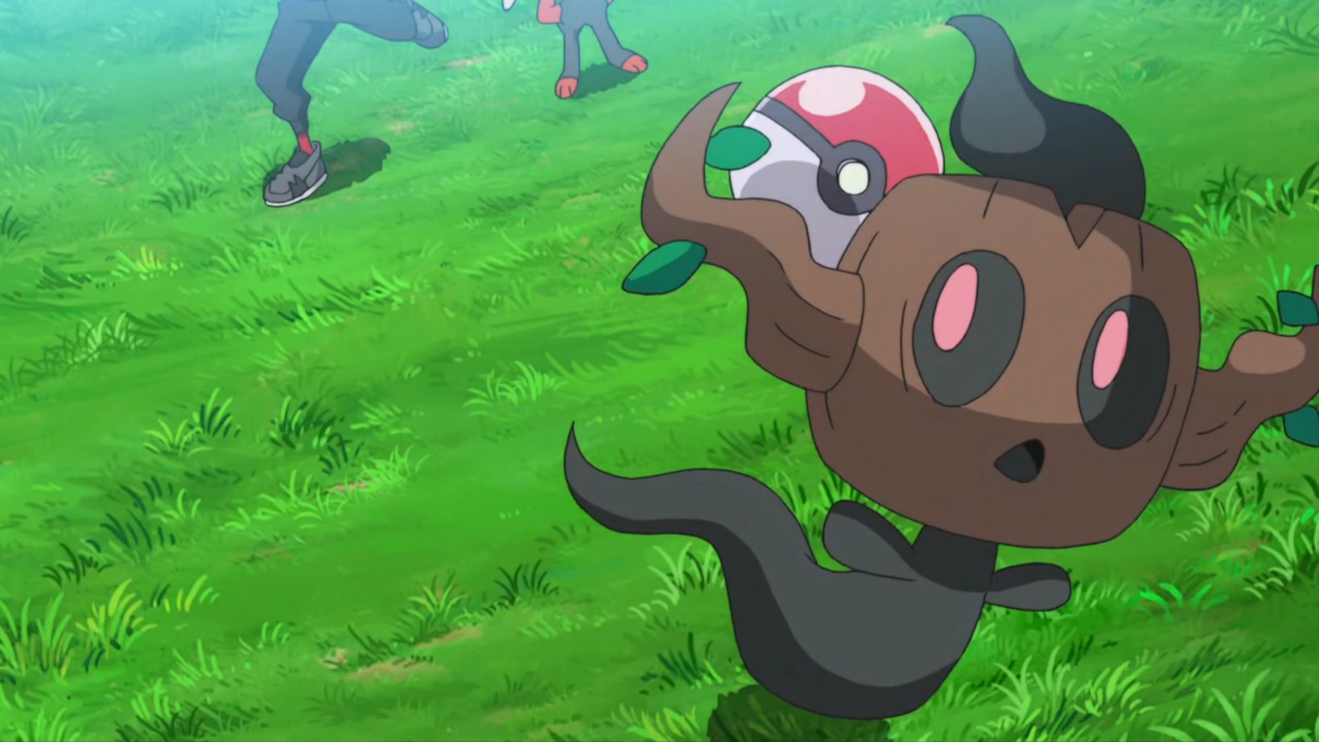 1920x1080 Goh's Phantump. Pokémon