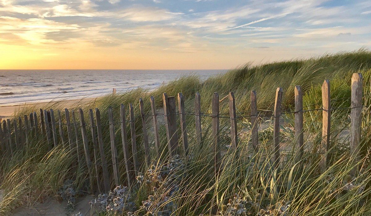 1200x700 THE 15 BEST Things to Do in Zandvoort (2026)-See Attractions